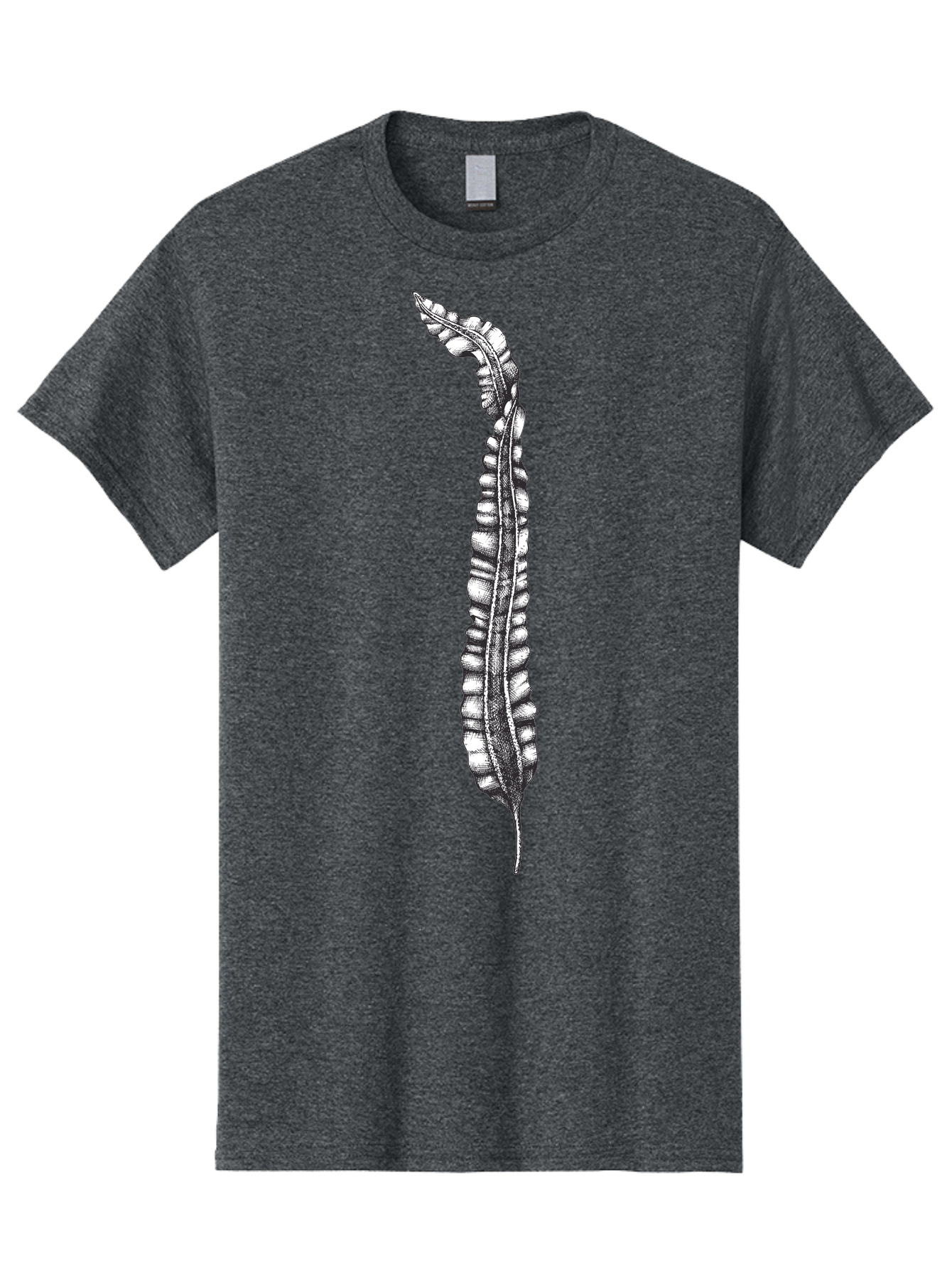 Paleodictyon Men'S Graphic Tee, 100% Cotton, Comfortable Casual Summer Wear, Machine Washable, Black And White Centipede, Detailed Illustration, Many Legs, Invertebrate Animal, Creepy Crawlers, Entomology Art, Detailed Drawing Aad727 29