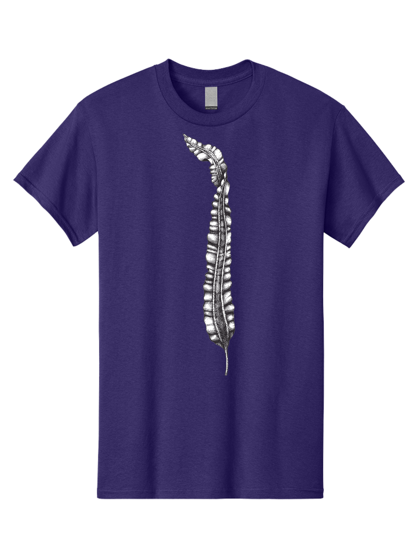 Paleodictyon Men'S Graphic Tee, 100% Cotton, Comfortable Casual Summer Wear, Machine Washable, Black And White Centipede, Detailed Illustration, Many Legs, Invertebrate Animal, Creepy Crawlers, Entomology Art, Detailed Drawing Aad727 9