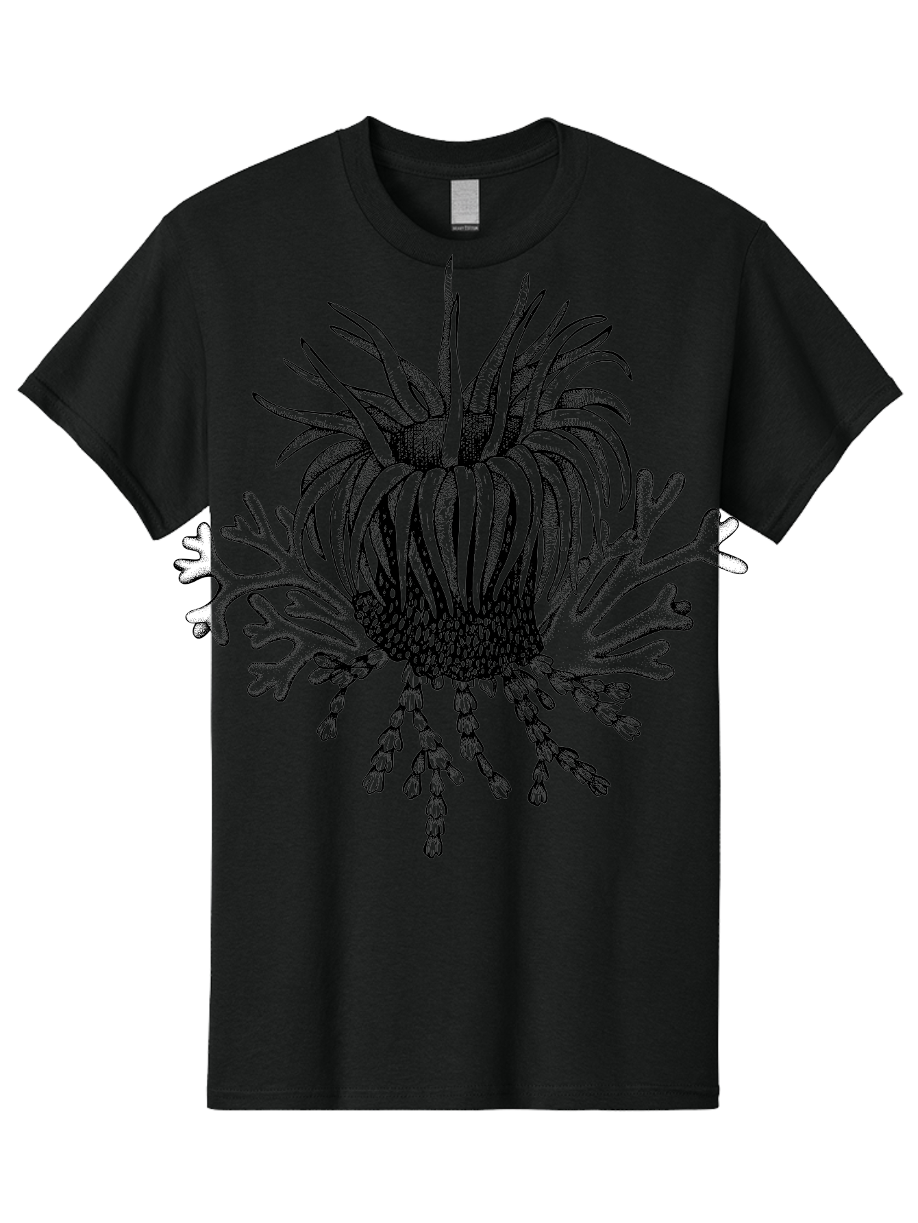 Sea-Anemone Men'S Graphic Tee, 100% Cotton, Comfortable Casual Summer Wear, Machine Washable, Sea Anemone, Marine Life, Ocean Creature, Underwater World, Coral Reef, Aquatic Animal, Tentacles, Black And Green Illustration, Botanical Art, Aad750 1