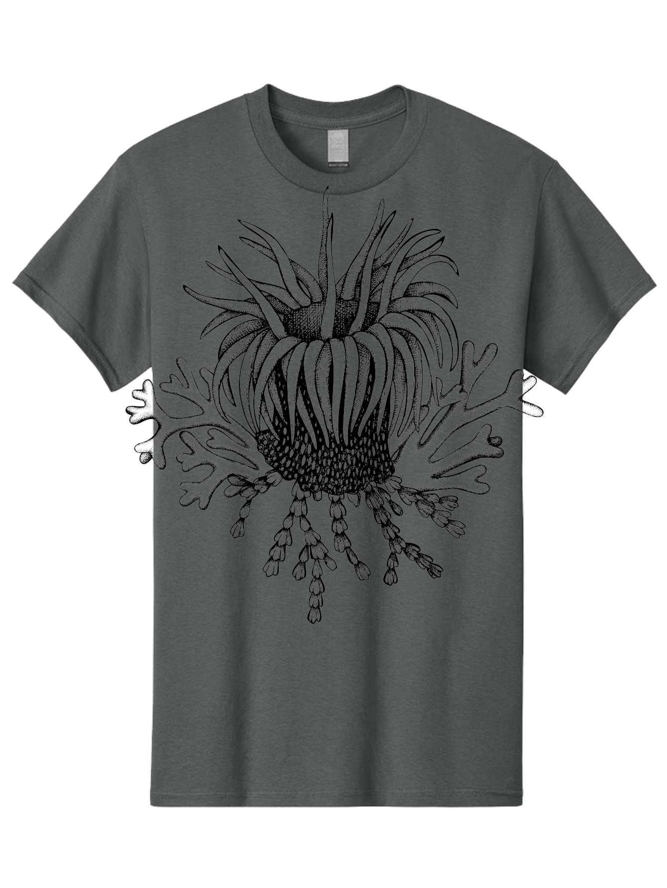 Sea-Anemone Men'S Graphic Tee, 100% Cotton, Comfortable Casual Summer Wear, Machine Washable, Sea Anemone, Marine Life, Ocean Creature, Underwater World, Coral Reef, Aquatic Animal, Tentacles, Black And Green Illustration, Botanical Art, Aad750 11
