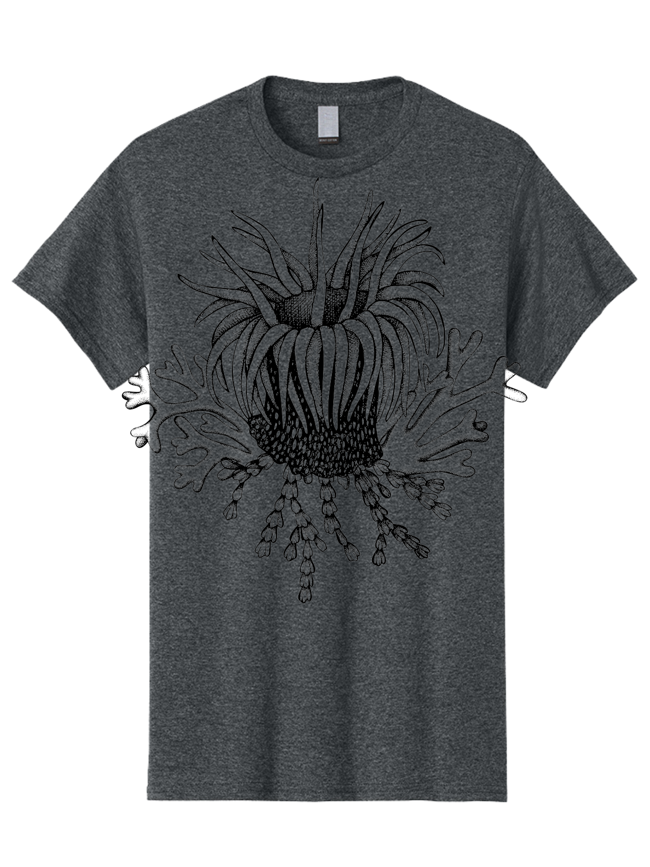 Sea-Anemone Men'S Graphic Tee, 100% Cotton, Comfortable Casual Summer Wear, Machine Washable, Sea Anemone, Marine Life, Ocean Creature, Underwater World, Coral Reef, Aquatic Animal, Tentacles, Black And Green Illustration, Botanical Art, Aad750 17