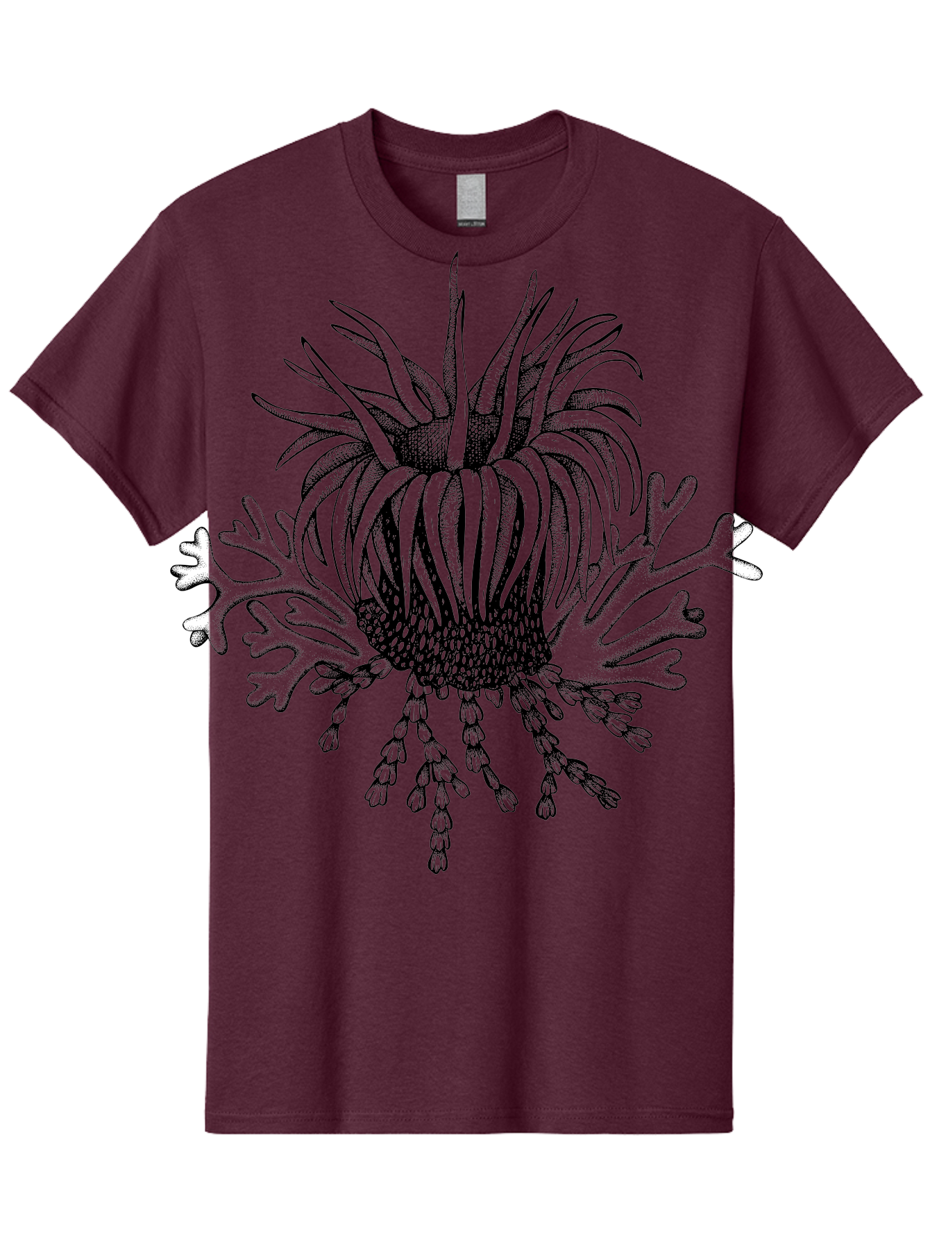 Sea-Anemone Men'S Graphic Tee, 100% Cotton, Comfortable Casual Summer Wear, Machine Washable, Sea Anemone, Marine Life, Ocean Creature, Underwater World, Coral Reef, Aquatic Animal, Tentacles, Black And Green Illustration, Botanical Art, Aad750 15