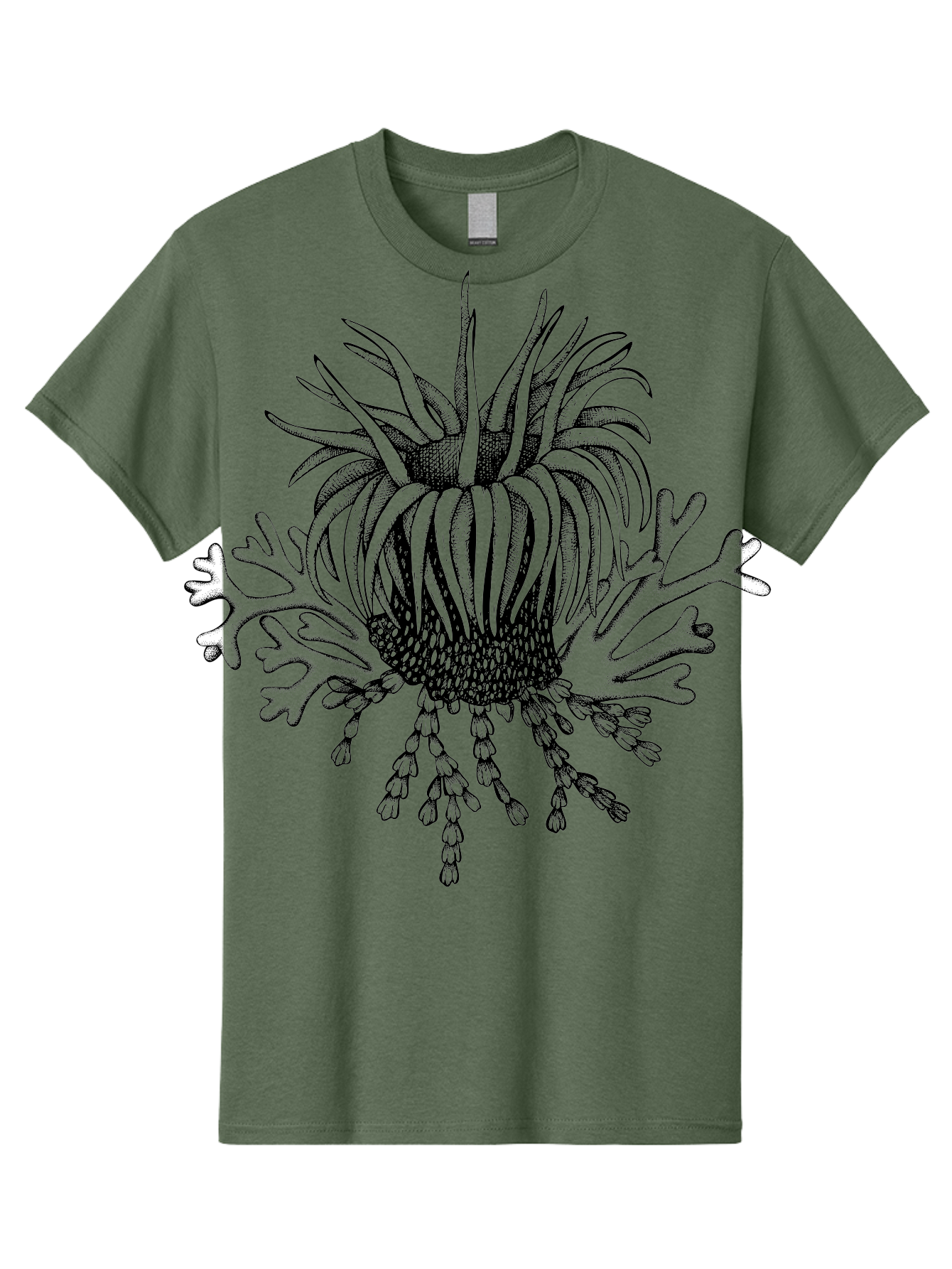 Sea-Anemone Men'S Graphic Tee, 100% Cotton, Comfortable Casual Summer Wear, Machine Washable, Sea Anemone, Marine Life, Ocean Creature, Underwater World, Coral Reef, Aquatic Animal, Tentacles, Black And Green Illustration, Botanical Art, Aad750 13