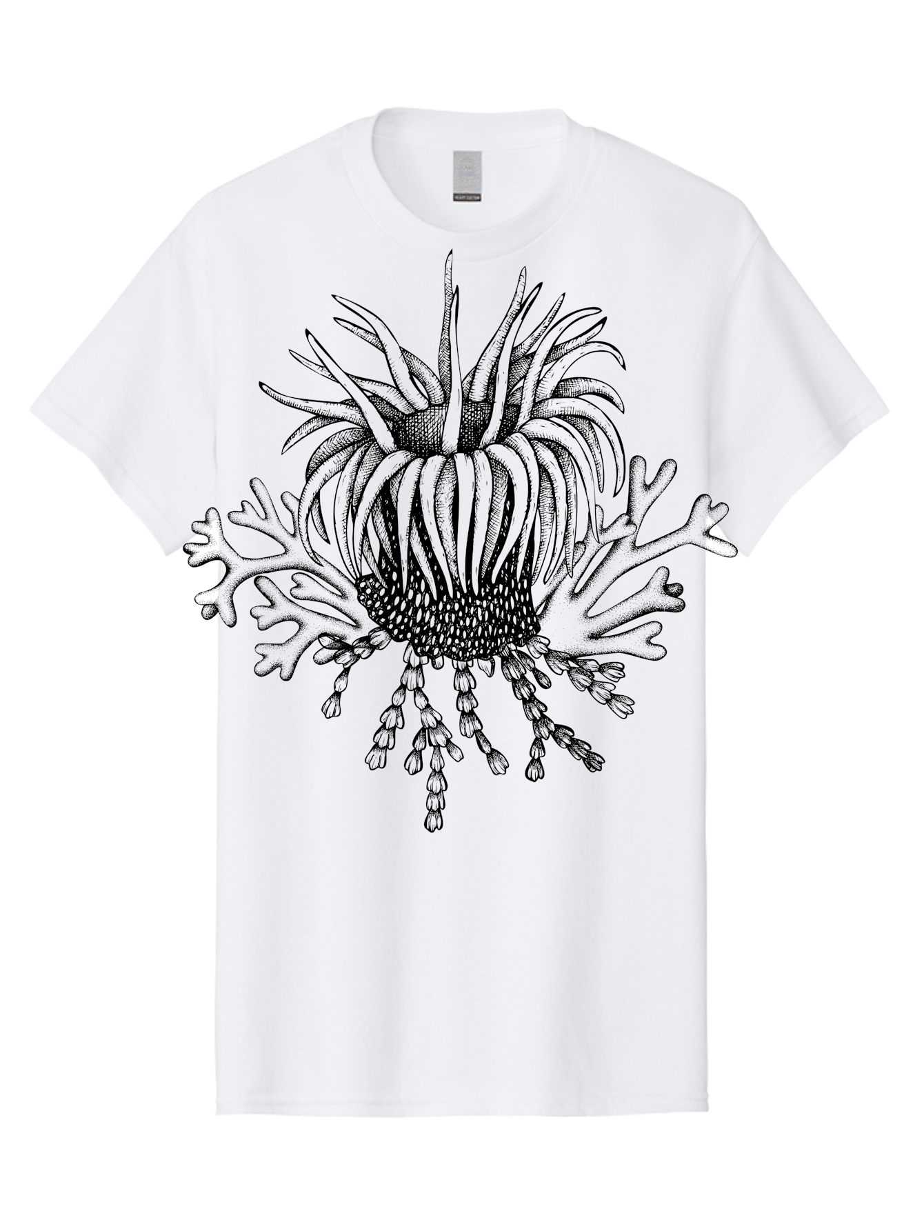 Sea-Anemone Men'S Graphic Tee, 100% Cotton, Comfortable Casual Summer Wear, Machine Washable, Sea Anemone, Marine Life, Ocean Creature, Underwater World, Coral Reef, Aquatic Animal, Tentacles, Black And Green Illustration, Botanical Art, Aad750 21