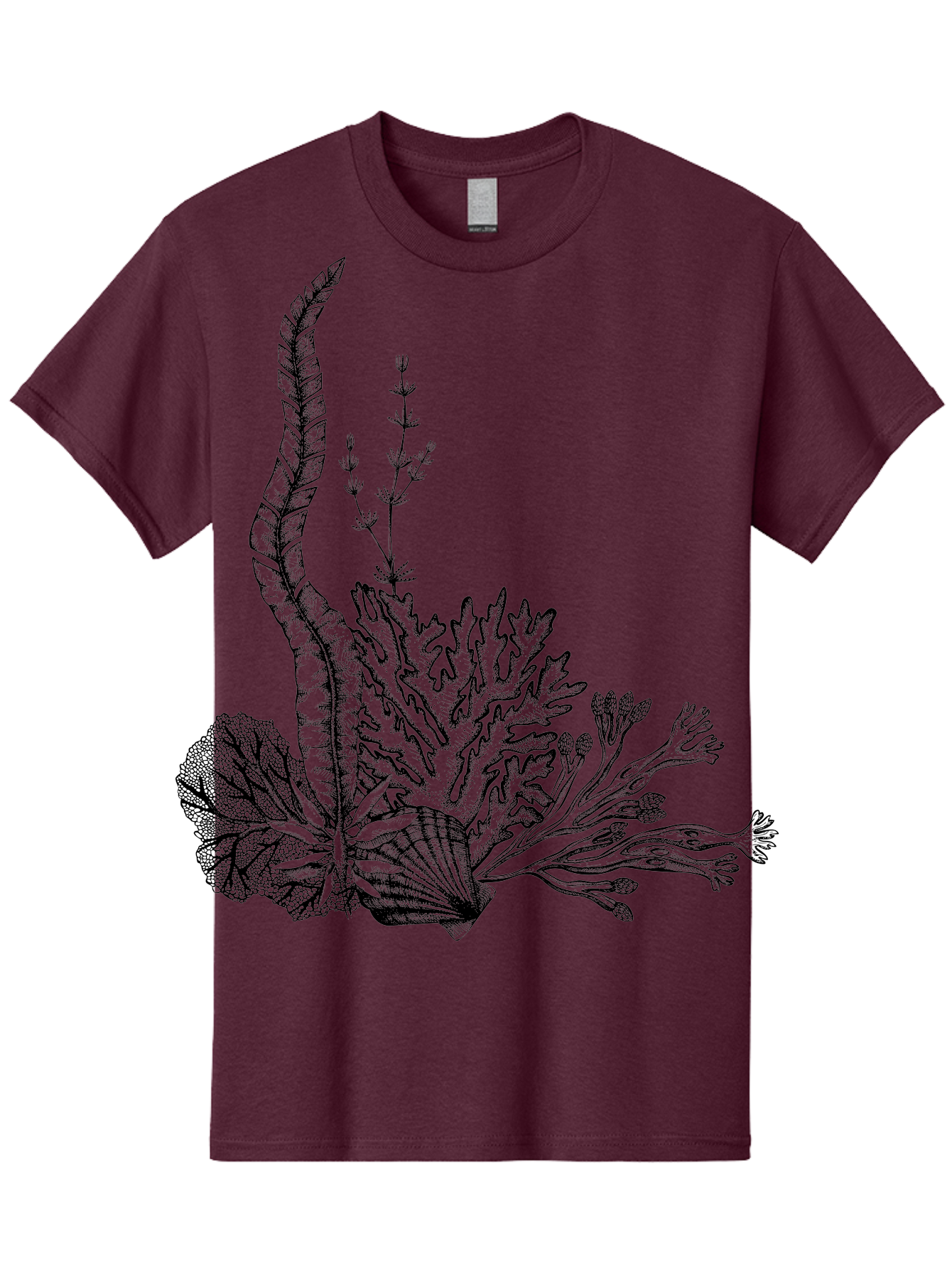 Seaweed-Illustration Men'S Graphic Tee, 100% Cotton, Comfortable Casual Summer Wear, Machine Washable, Detailed Seaweed, Oceanic Foliage, Black Ink Illustration, Floral Seaweed, Underwater Scenery, Marine Life, Botanical Art Aad753 23