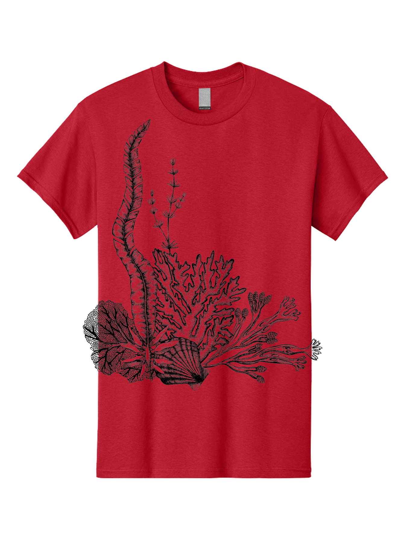 Seaweed-Illustration Men'S Graphic Tee, 100% Cotton, Comfortable Casual Summer Wear, Machine Washable, Detailed Seaweed, Oceanic Foliage, Black Ink Illustration, Floral Seaweed, Underwater Scenery, Marine Life, Botanical Art Aad753 13