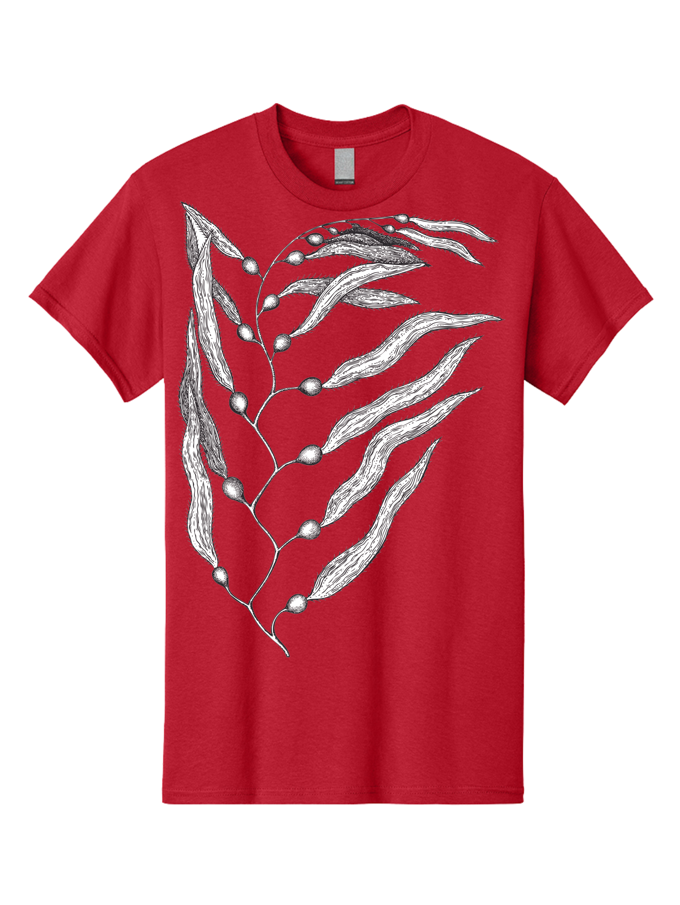 Seaweed Men'S Graphic Tee, 100% Cotton, Comfortable Casual Summer Wear, Machine Washable, Illustrated Branch With Leaves, Branch With Fruit, Foliage Illustration, Silver Leaves, Detailed Artwork, Botanical Illustration, Natural Elements, Aad754 17