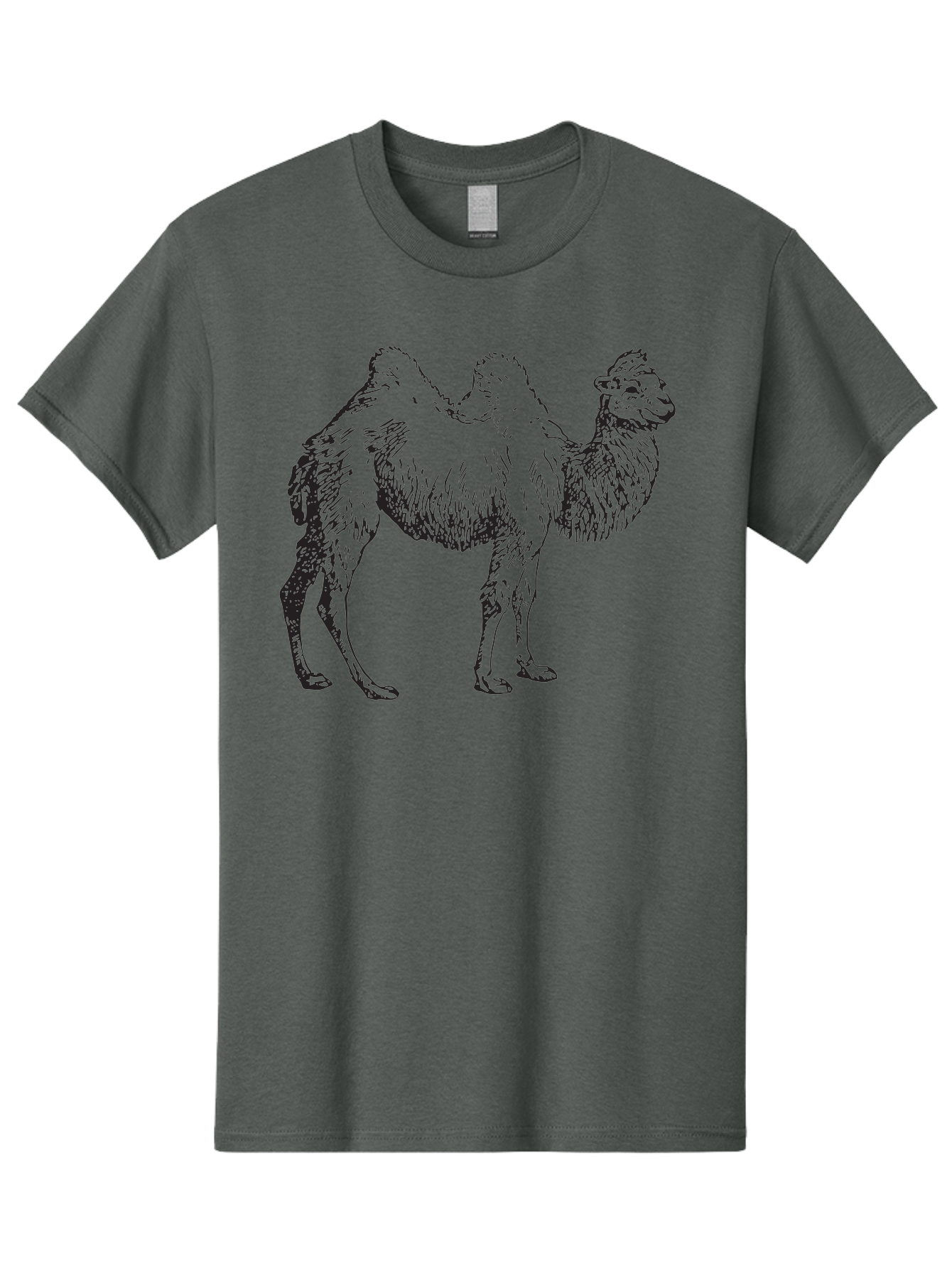 Bactrian-Camel Men'S Graphic Tee, 100% Cotton, Comfortable Casual Summer Wear, Machine Washable, Bactrian Camel, Double Hump Camel, Desert Animal, Exotic Creature, Wild Camel, Camel Illustration, Camel Drawing Aad846 7