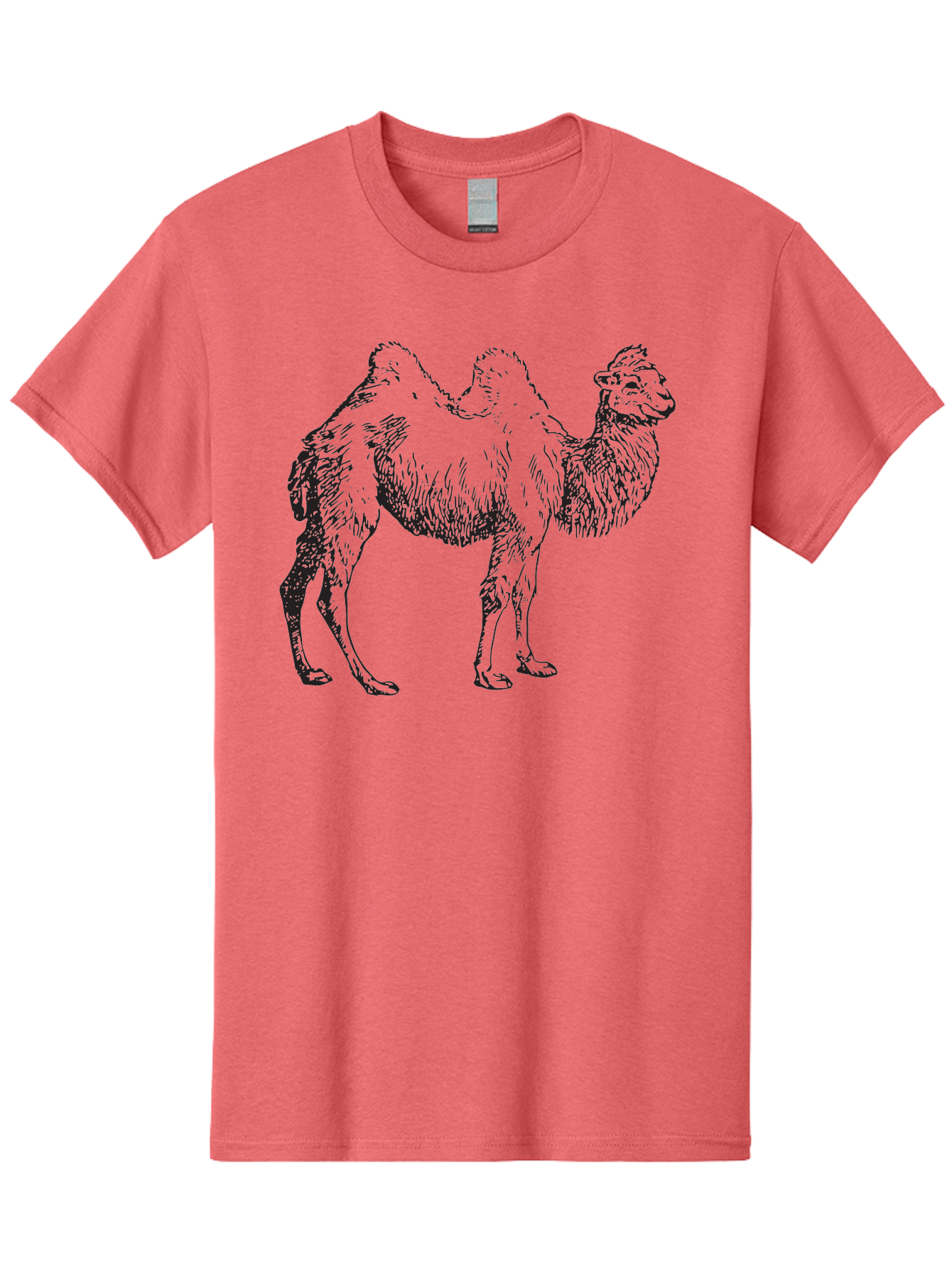 Bactrian-Camel Men'S Graphic Tee, 100% Cotton, Comfortable Casual Summer Wear, Machine Washable, Bactrian Camel, Double Hump Camel, Desert Animal, Exotic Creature, Wild Camel, Camel Illustration, Camel Drawing Aad846 23