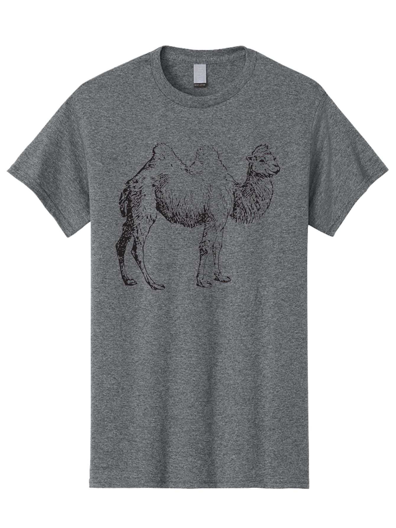 Bactrian-Camel Men'S Graphic Tee, 100% Cotton, Comfortable Casual Summer Wear, Machine Washable, Bactrian Camel, Double Hump Camel, Desert Animal, Exotic Creature, Wild Camel, Camel Illustration, Camel Drawing Aad846 25