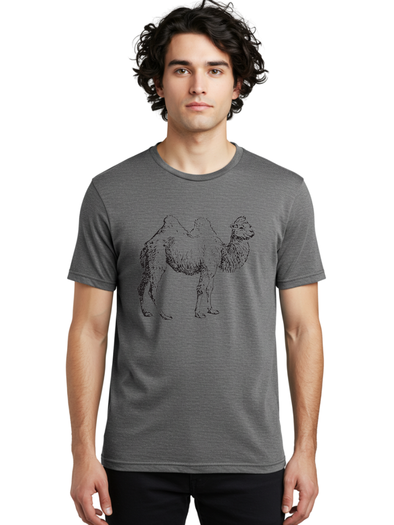 Bactrian-Camel Men'S Graphic Tee, 100% Cotton, Comfortable Casual Summer Wear, Machine Washable, Bactrian Camel, Double Hump Camel, Desert Animal, Exotic Creature, Wild Camel, Camel Illustration, Camel Drawing Aad846 26