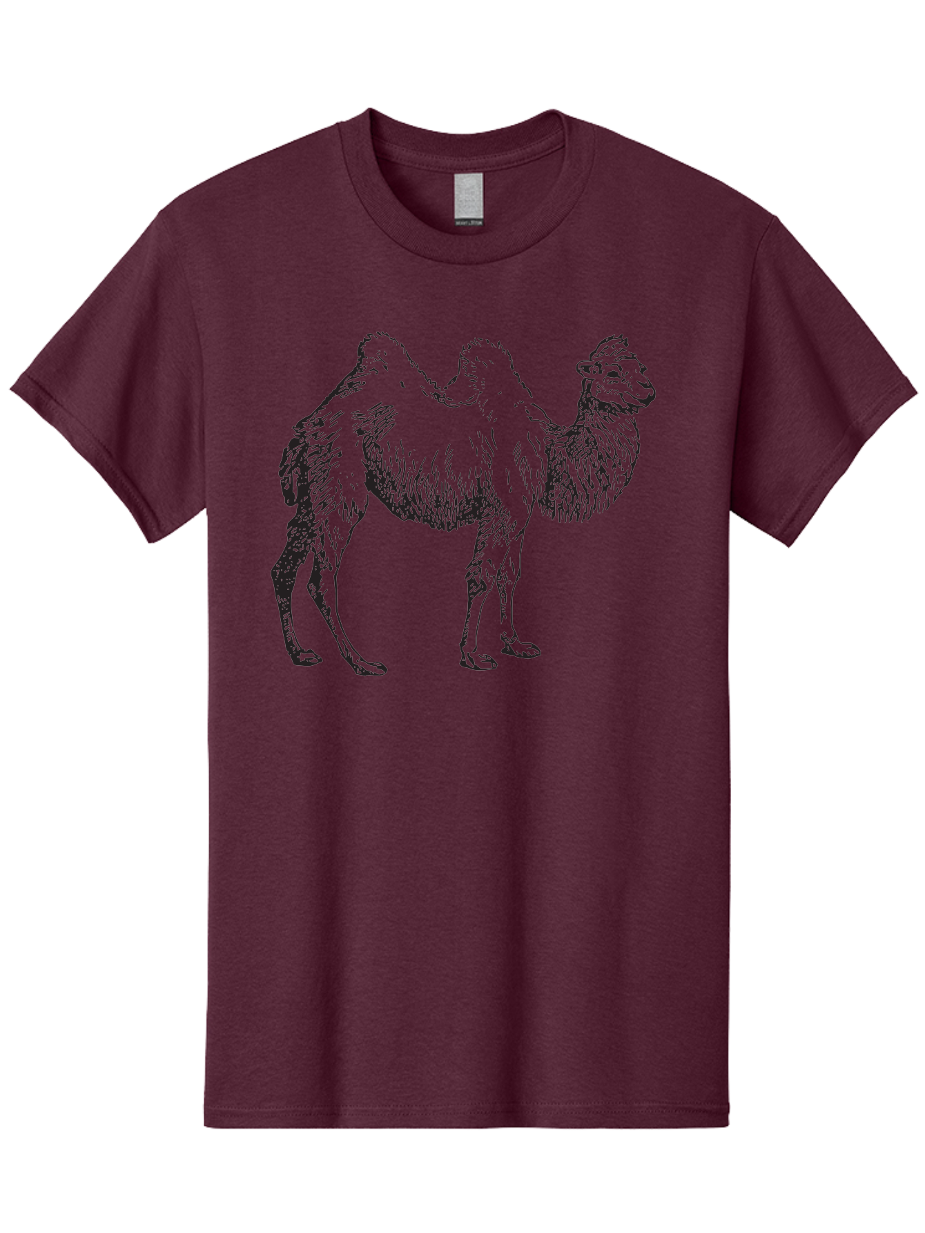 Bactrian-Camel Men'S Graphic Tee, 100% Cotton, Comfortable Casual Summer Wear, Machine Washable, Bactrian Camel, Double Hump Camel, Desert Animal, Exotic Creature, Wild Camel, Camel Illustration, Camel Drawing Aad846 27