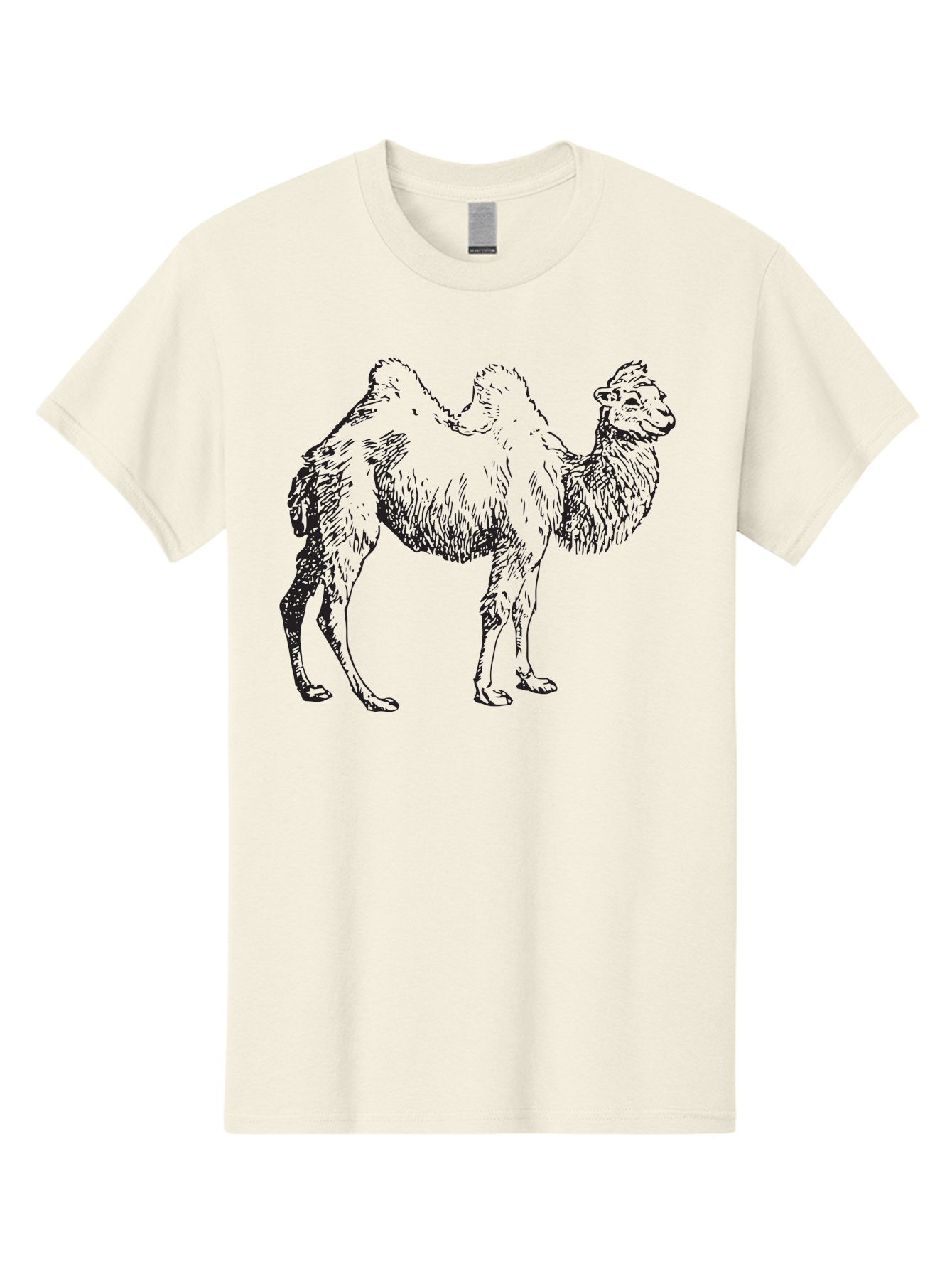 Bactrian-Camel Men'S Graphic Tee, 100% Cotton, Comfortable Casual Summer Wear, Machine Washable, Bactrian Camel, Double Hump Camel, Desert Animal, Exotic Creature, Wild Camel, Camel Illustration, Camel Drawing Aad846 29