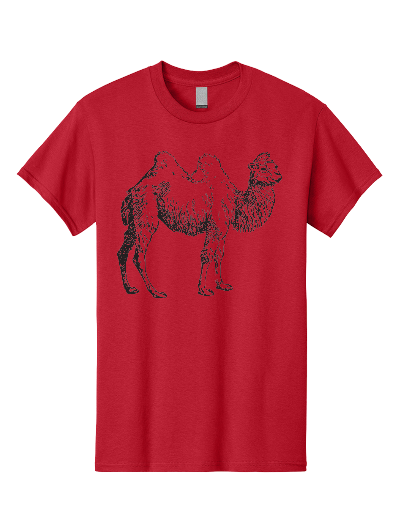 Bactrian-Camel Men'S Graphic Tee, 100% Cotton, Comfortable Casual Summer Wear, Machine Washable, Bactrian Camel, Double Hump Camel, Desert Animal, Exotic Creature, Wild Camel, Camel Illustration, Camel Drawing Aad846 19