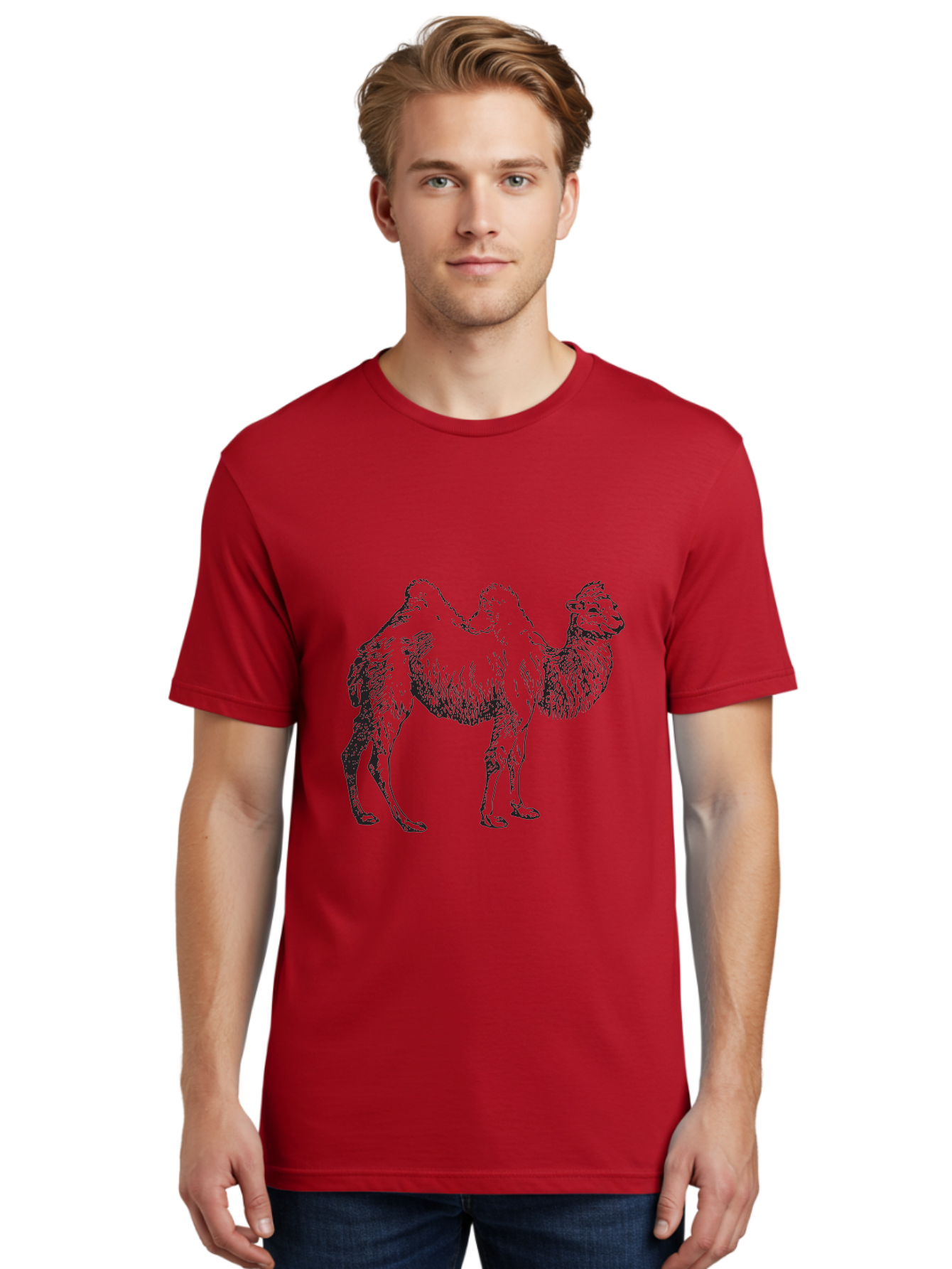 Bactrian-Camel Men'S Graphic Tee, 100% Cotton, Comfortable Casual Summer Wear, Machine Washable, Bactrian Camel, Double Hump Camel, Desert Animal, Exotic Creature, Wild Camel, Camel Illustration, Camel Drawing Aad846 20