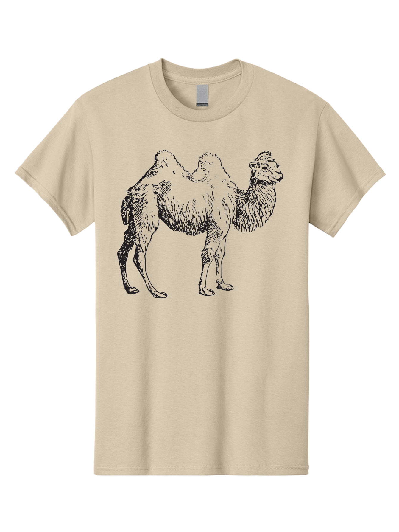 Bactrian-Camel Men'S Graphic Tee, 100% Cotton, Comfortable Casual Summer Wear, Machine Washable, Bactrian Camel, Double Hump Camel, Desert Animal, Exotic Creature, Wild Camel, Camel Illustration, Camel Drawing Aad846 21