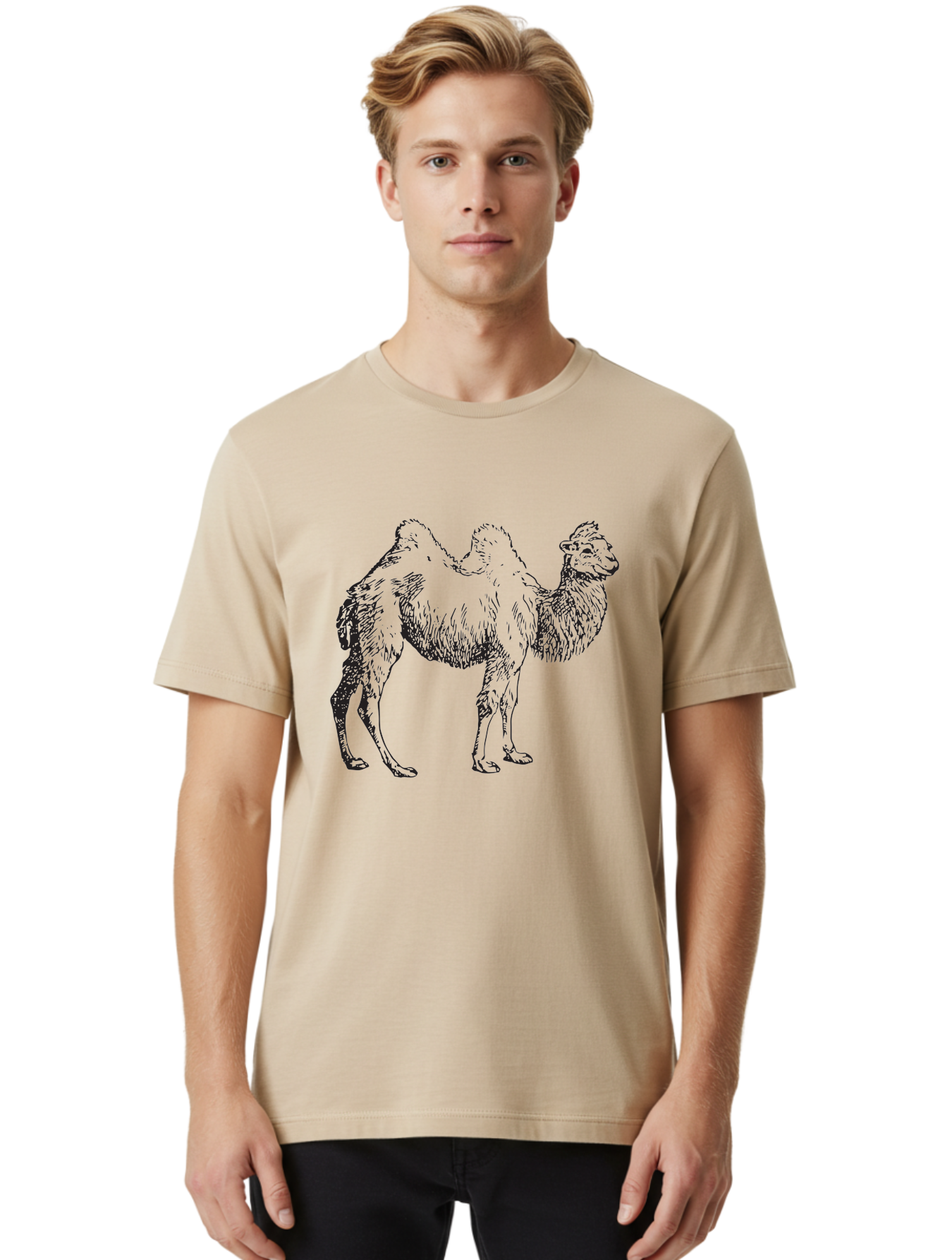 Bactrian-Camel Men'S Graphic Tee, 100% Cotton, Comfortable Casual Summer Wear, Machine Washable, Bactrian Camel, Double Hump Camel, Desert Animal, Exotic Creature, Wild Camel, Camel Illustration, Camel Drawing Aad846 22