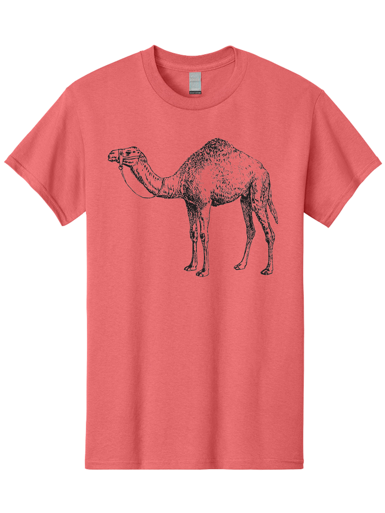 Camel Men'S Graphic Tee, 100% Cotton, Comfortable Casual Summer Wear, Machine Washable, Camel Illustration, Desert Animal, Wildlife Artwork, Camel Silhouette, Graphic Design, Illustration Art, Animal Drawing, Camel Graphic Aad861 21