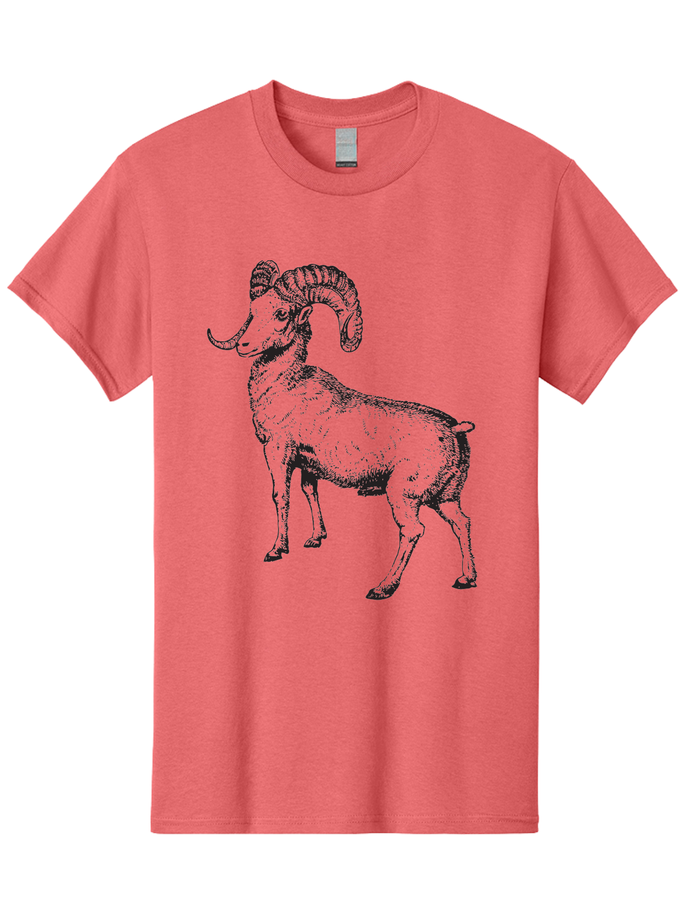 Ram Men'S Graphic Tee, 100% Cotton, Comfortable Casual Summer Wear, Machine Washable, Large Ram, Curved Horns, Wild Animal, Livestock, Farm Animal, Strong, Majestic, Nature, Wildlife, Outdoors, Rugged Aad934 29