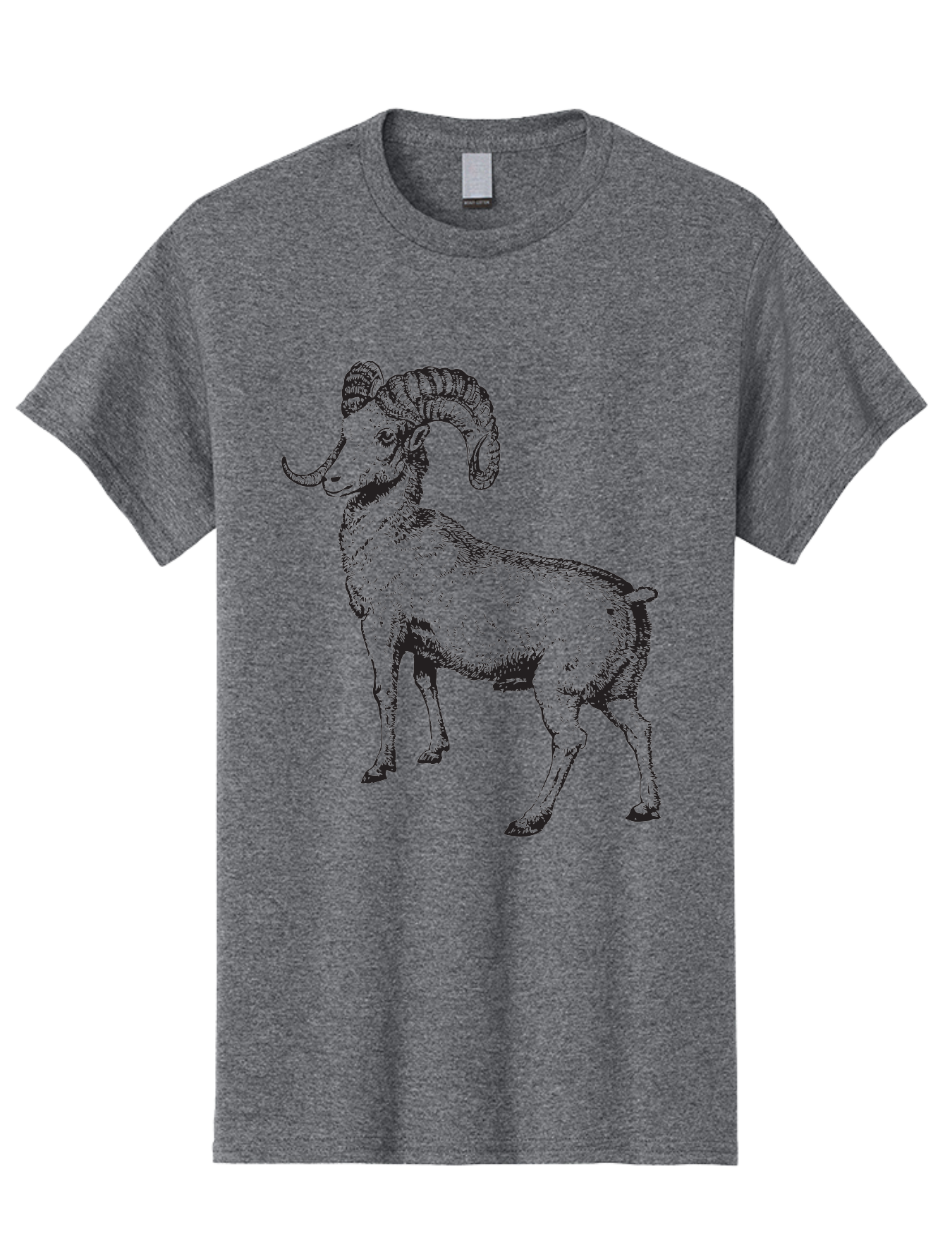 Ram Men'S Graphic Tee, 100% Cotton, Comfortable Casual Summer Wear, Machine Washable, Large Ram, Curved Horns, Wild Animal, Livestock, Farm Animal, Strong, Majestic, Nature, Wildlife, Outdoors, Rugged Aad934 13