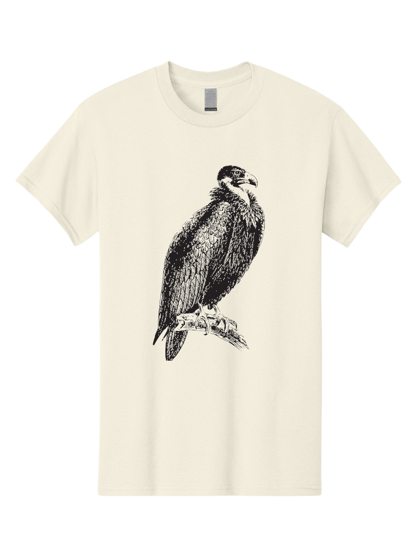 Vulture Men'S Graphic Tee, 100% Cotton, Comfortable Casual Summer Wear, Machine Washable, Vulture Perched On Branch, Bird Of Prey, Wildlife Illustration, Raptor, Sharp Talons, Feathers, Graphic Art, Wild Animal, Nature Sketch Aad965 13