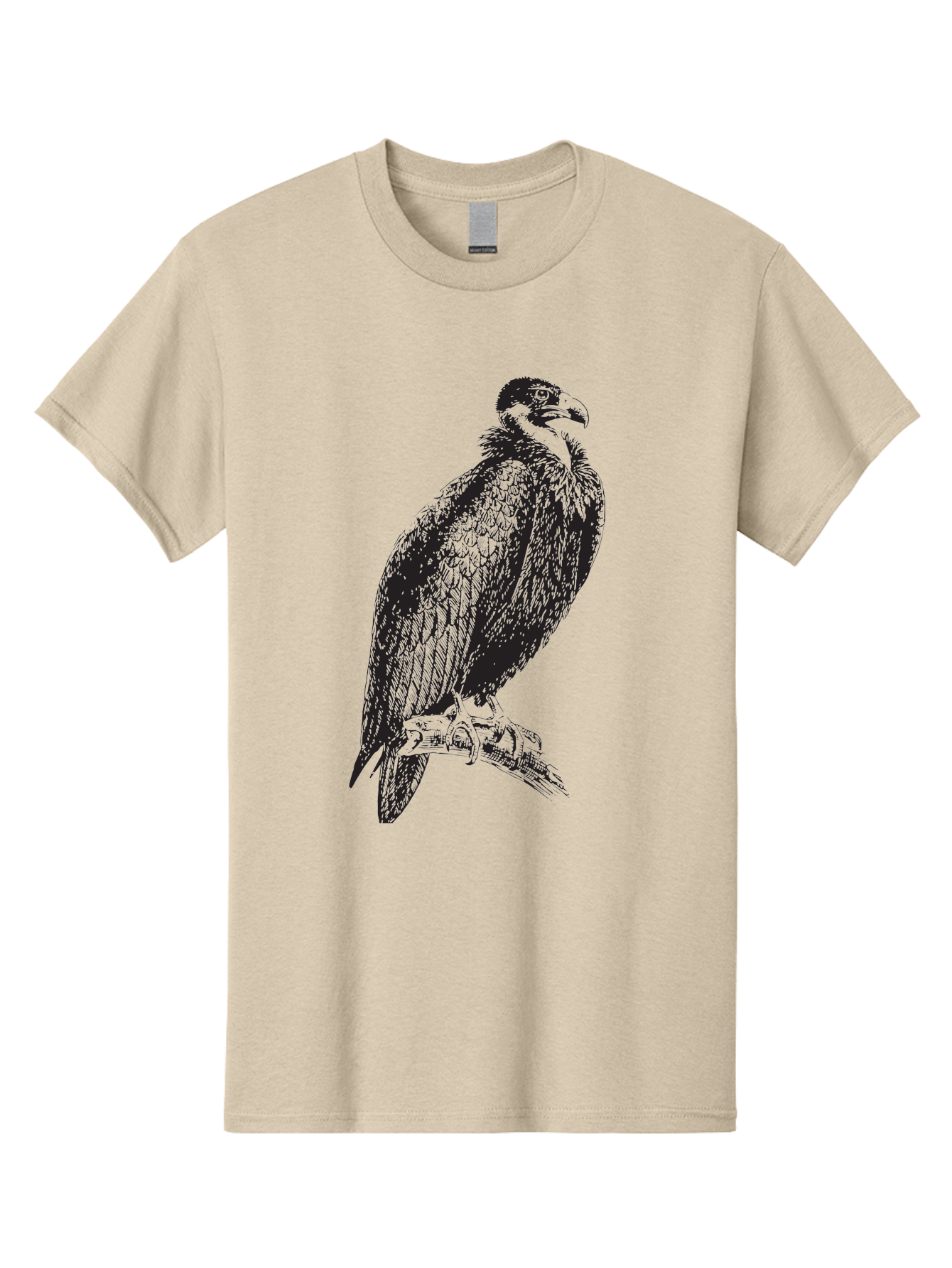 Vulture Men'S Graphic Tee, 100% Cotton, Comfortable Casual Summer Wear, Machine Washable, Vulture Perched On Branch, Bird Of Prey, Wildlife Illustration, Raptor, Sharp Talons, Feathers, Graphic Art, Wild Animal, Nature Sketch Aad965 15