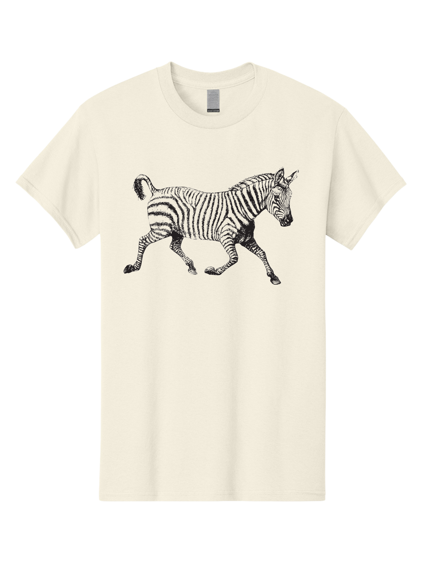 Zebra-Illustration Men'S Graphic Tee, 100% Cotton, Comfortable Casual Summer Wear, Machine Washable, Black And White Zebra, Wildlife Animal, Safari Theme, Black Stripes, Equine Mammal, Wild Horse, African Wildlife, Animal Illustration, Aad970 5