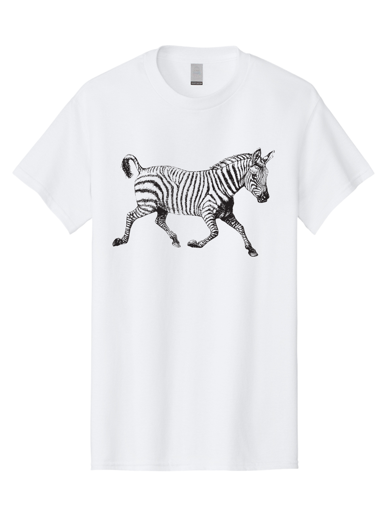 Zebra-Illustration Men'S Graphic Tee, 100% Cotton, Comfortable Casual Summer Wear, Machine Washable, Black And White Zebra, Wildlife Animal, Safari Theme, Black Stripes, Equine Mammal, Wild Horse, African Wildlife, Animal Illustration, Aad970 3