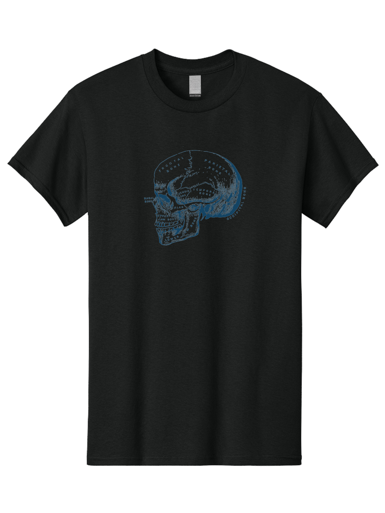Blueprint Skull Men'S Graphic Tee, 100% Cotton, Comfortable Casual Summer Wear, Machine Washable, Human Skull, Anatomical Diagram, Labeled Bones, Frontal Bone, Parietal Bone, Occipital Bone, Temporal Bone, Jaw Bone, Medical Illustration, Aae151 17