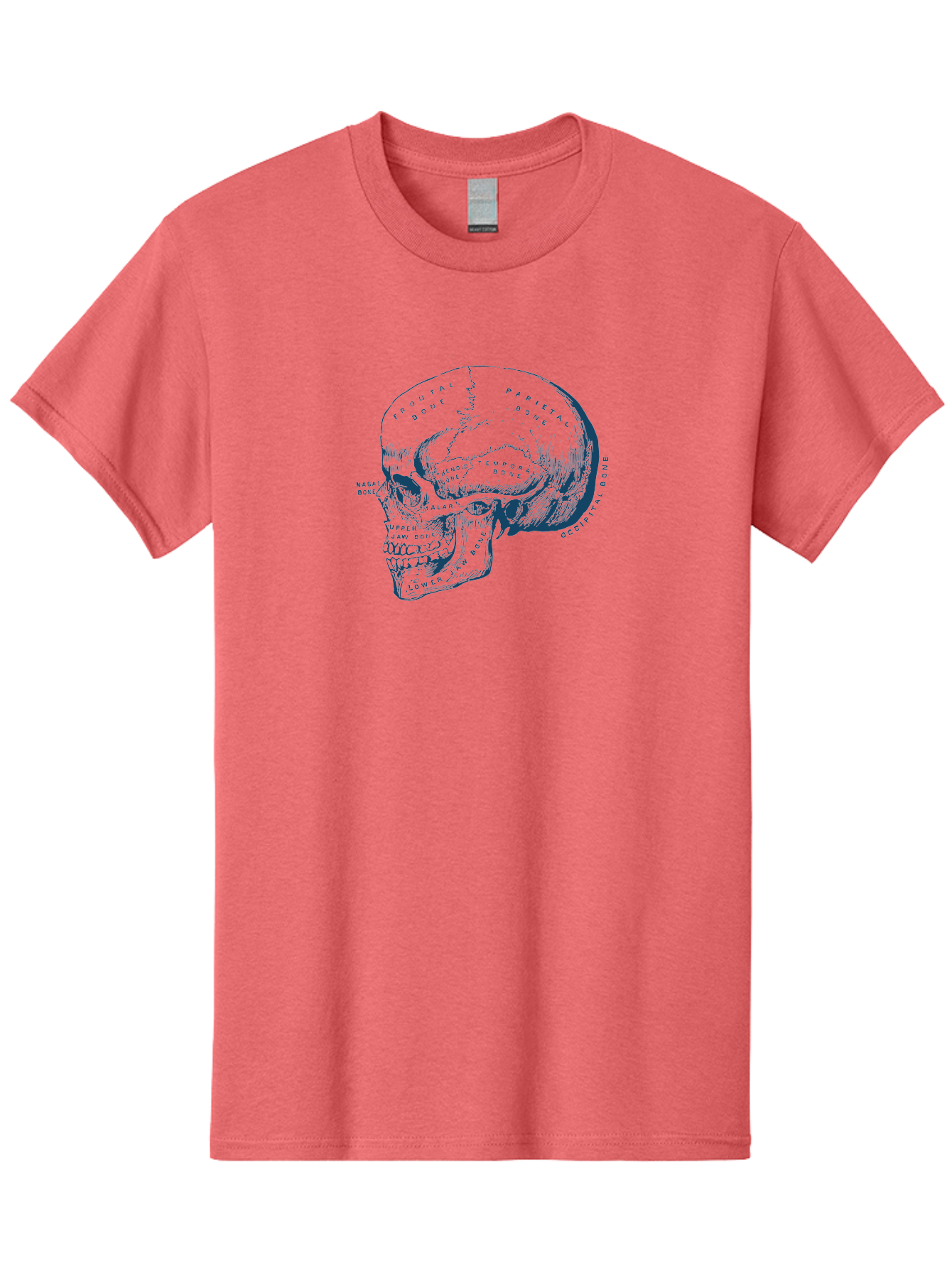 Blueprint Skull Men'S Graphic Tee, 100% Cotton, Comfortable Casual Summer Wear, Machine Washable, Human Skull, Anatomical Diagram, Labeled Bones, Frontal Bone, Parietal Bone, Occipital Bone, Temporal Bone, Jaw Bone, Medical Illustration, Aae151 9