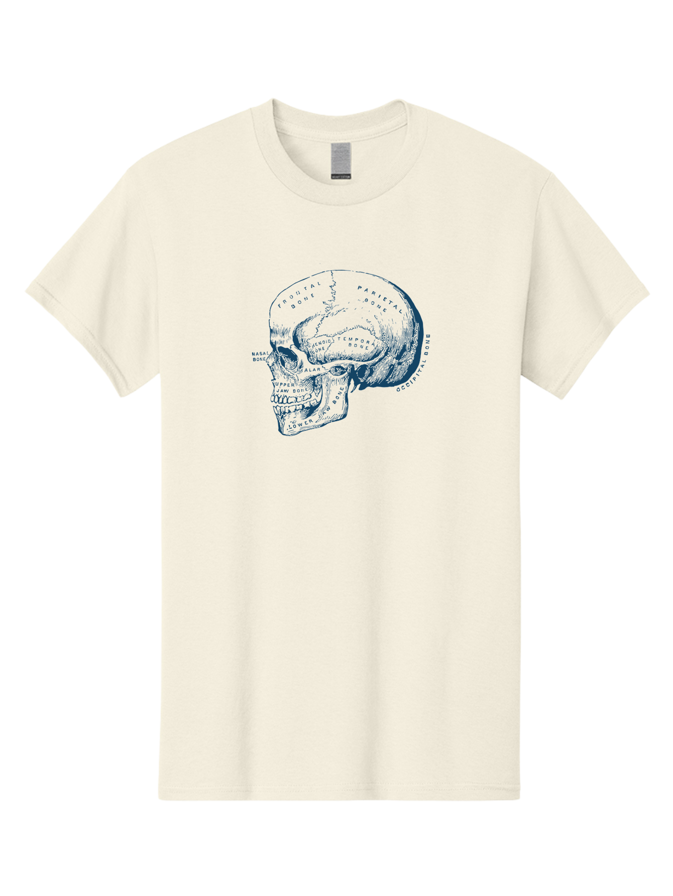 Blueprint Skull Men'S Graphic Tee, 100% Cotton, Comfortable Casual Summer Wear, Machine Washable, Human Skull, Anatomical Diagram, Labeled Bones, Frontal Bone, Parietal Bone, Occipital Bone, Temporal Bone, Jaw Bone, Medical Illustration, Aae151 5