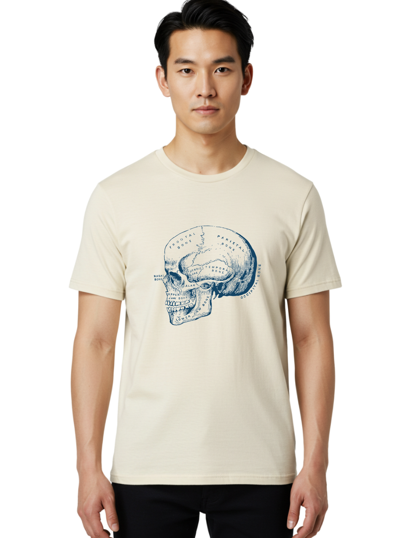 Blueprint Skull Men'S Graphic Tee, 100% Cotton, Comfortable Casual Summer Wear, Machine Washable, Human Skull, Anatomical Diagram, Labeled Bones, Frontal Bone, Parietal Bone, Occipital Bone, Temporal Bone, Jaw Bone, Medical Illustration, Aae151 6