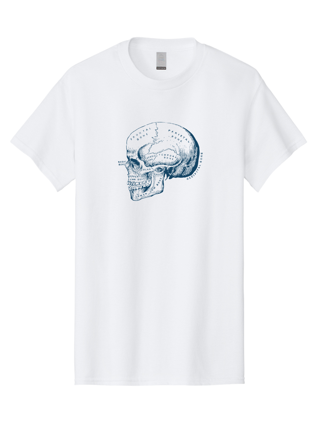 Blueprint Skull Men'S Graphic Tee, 100% Cotton, Comfortable Casual Summer Wear, Machine Washable, Human Skull, Anatomical Diagram, Labeled Bones, Frontal Bone, Parietal Bone, Occipital Bone, Temporal Bone, Jaw Bone, Medical Illustration, Aae151 29
