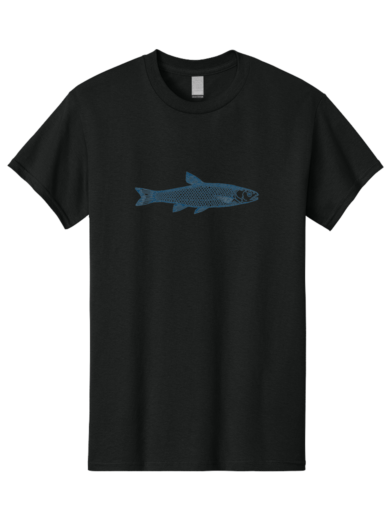 Silverline Fish Men'S Graphic Tee, 100% Cotton, Comfortable Casual Summer Wear, Machine Washable, Illustration Of A Fish, Fish With Scales, Aquatic Animal, Ocean Life, Sea Creature, Wildlife, Marine Biology, Fish Art, Detailed Drawing, Aae647 15