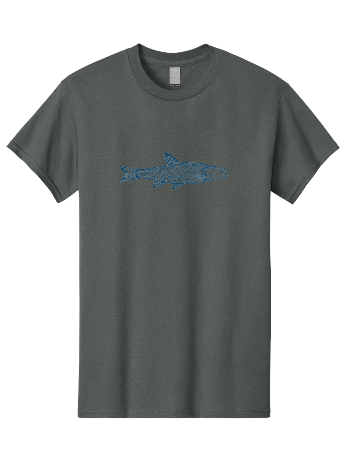 Silverline Fish Men'S Graphic Tee, 100% Cotton, Comfortable Casual Summer Wear, Machine Washable, Illustration Of A Fish, Fish With Scales, Aquatic Animal, Ocean Life, Sea Creature, Wildlife, Marine Biology, Fish Art, Detailed Drawing, Aae647 25