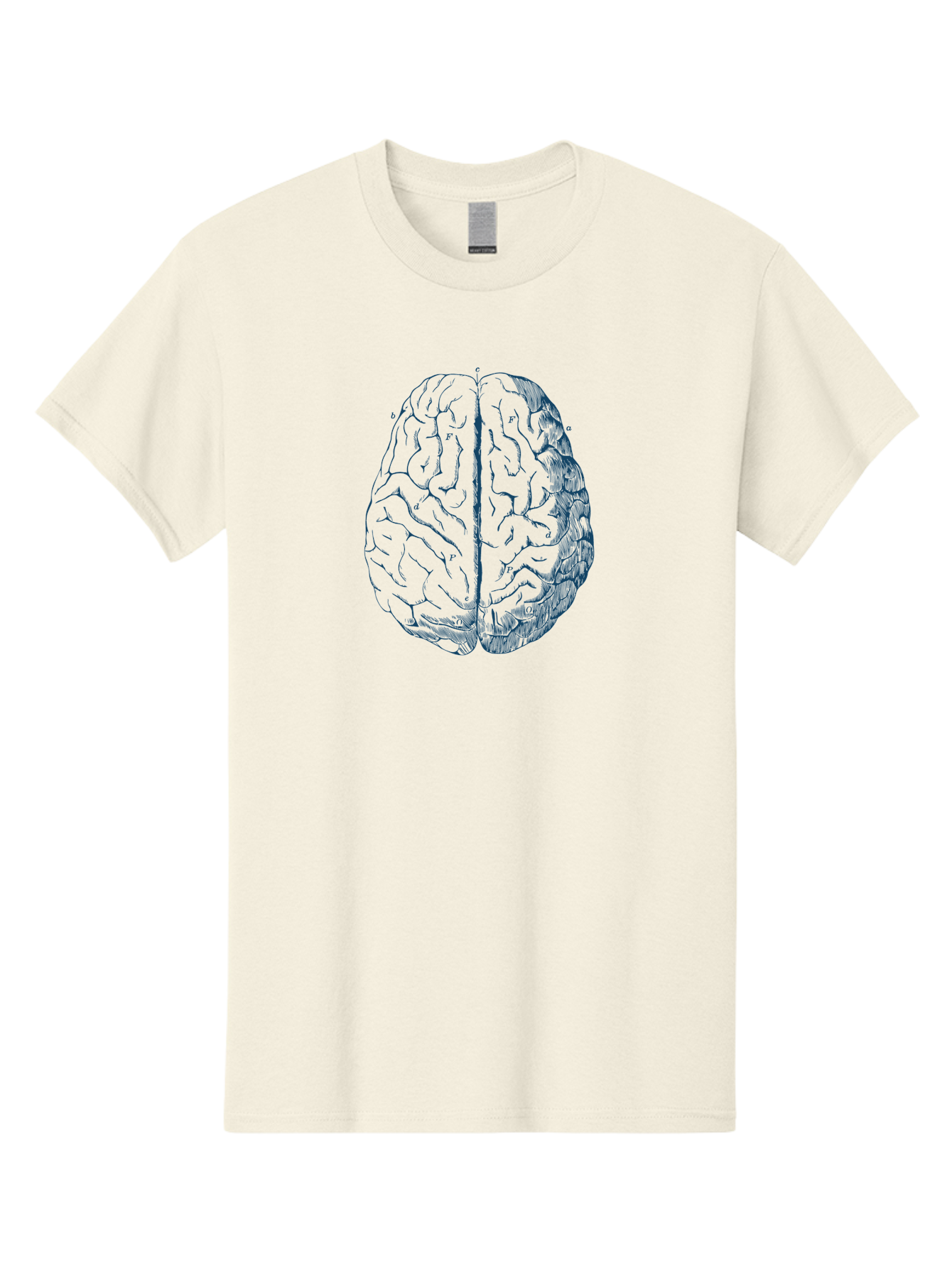 Vintage Brain Diagram Men'S Graphic Tee, 100% Cotton, Comfortable Casual Summer Wear, Machine Washable, Human Brain Illustration, Brain Anatomy, Cerebral Cortex, Neuroscience, Cognitive Function, Brain Structure, Left And Right Hemispheres, Aae786 19