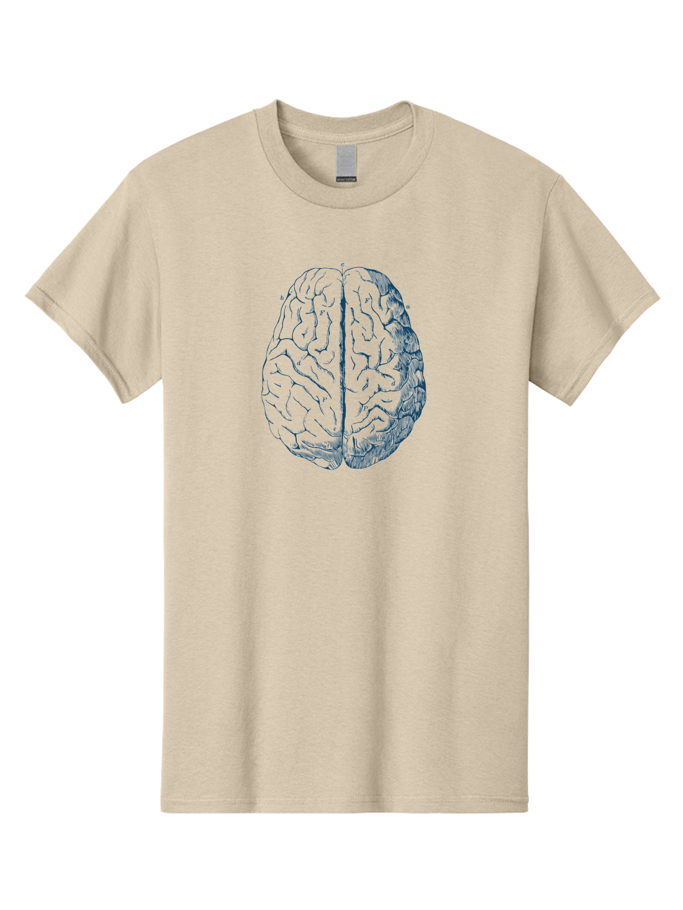 Vintage Brain Diagram Men'S Graphic Tee, 100% Cotton, Comfortable Casual Summer Wear, Machine Washable, Human Brain Illustration, Brain Anatomy, Cerebral Cortex, Neuroscience, Cognitive Function, Brain Structure, Left And Right Hemispheres, Aae786 7