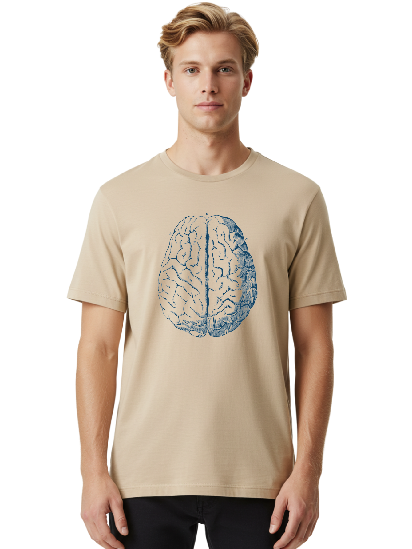 Vintage Brain Diagram Men'S Graphic Tee, 100% Cotton, Comfortable Casual Summer Wear, Machine Washable, Human Brain Illustration, Brain Anatomy, Cerebral Cortex, Neuroscience, Cognitive Function, Brain Structure, Left And Right Hemispheres, Aae786 8