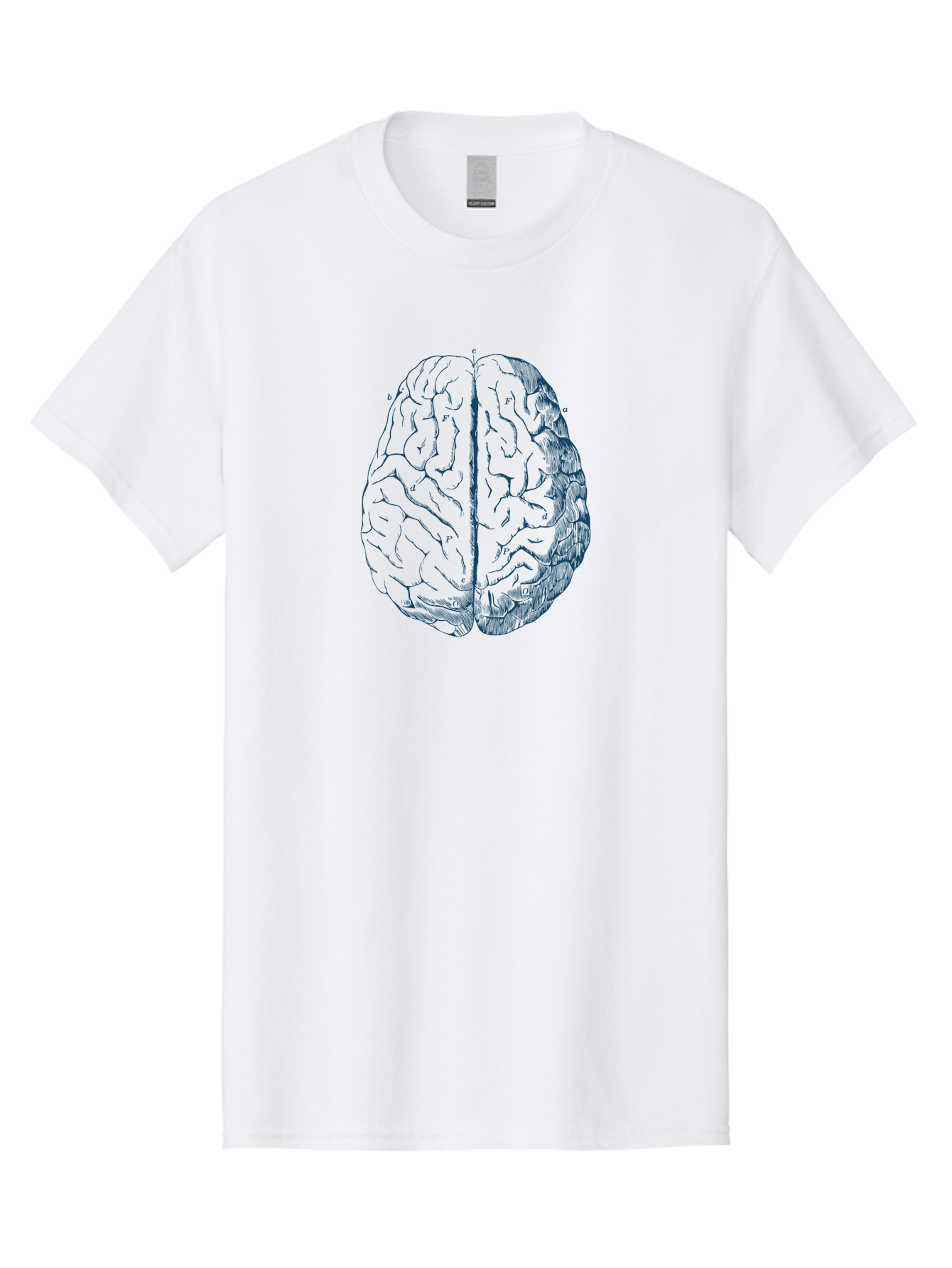 Vintage Brain Diagram Men'S Graphic Tee, 100% Cotton, Comfortable Casual Summer Wear, Machine Washable, Human Brain Illustration, Brain Anatomy, Cerebral Cortex, Neuroscience, Cognitive Function, Brain Structure, Left And Right Hemispheres, Aae786 3