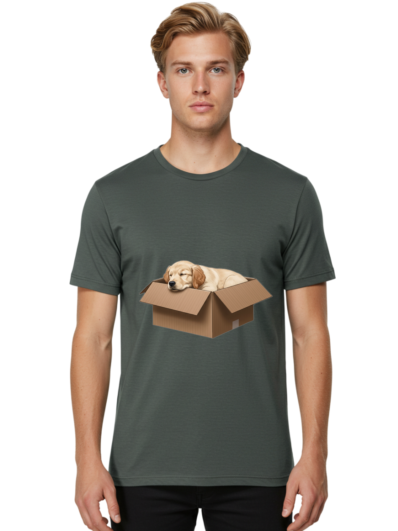 Sleeping-Puppy-1 Men'S Graphic Tee, 100% Cotton, Comfortable Casual Summer Wear, Machine Washable, Sleeping Puppy, Cardboard Box, Adorable Dog, Cute Animal, Resting Pet, Dog In Box, Peaceful Scene, Puppy Love, Cozy Atmosphere, Sweet Dreams Bac417 18