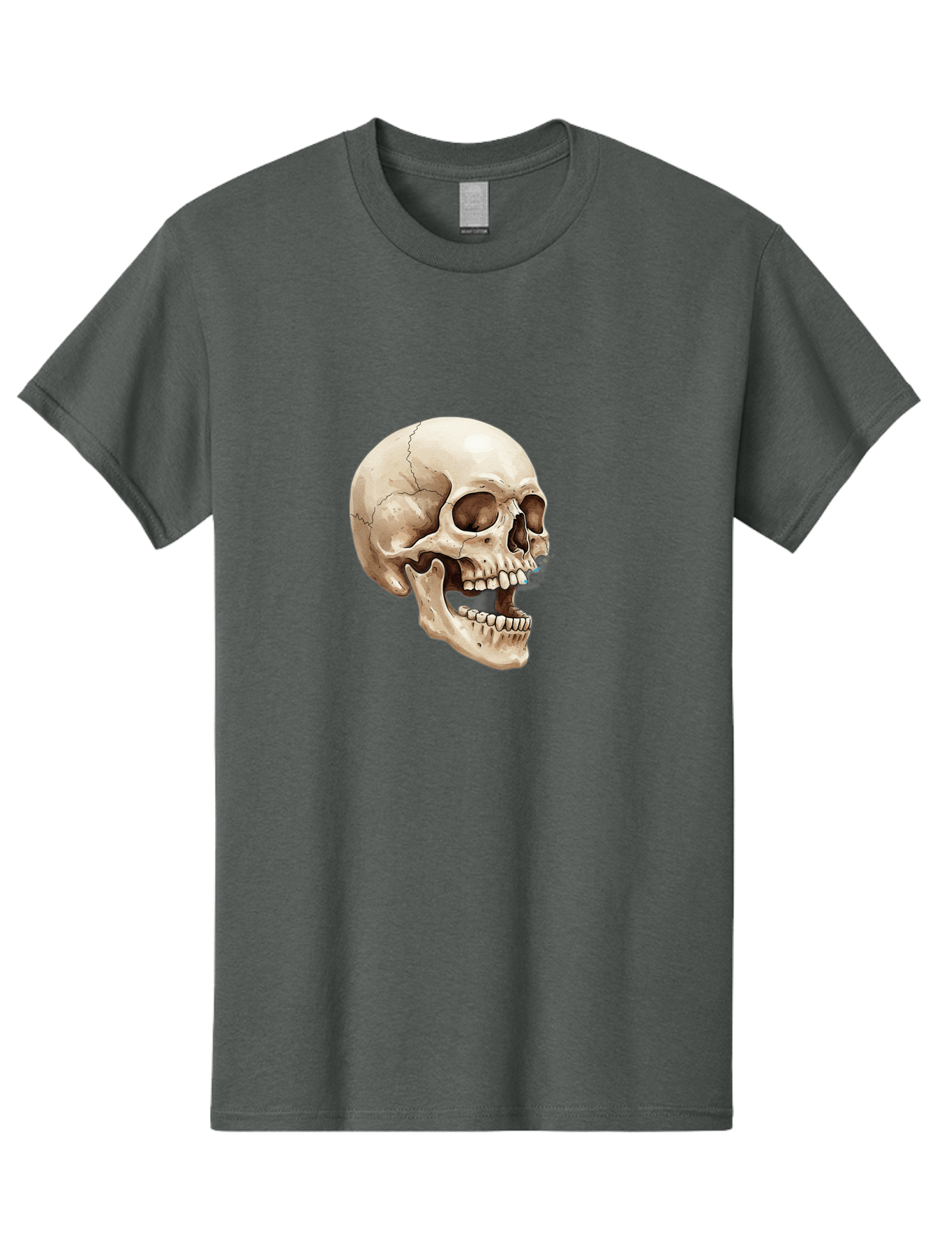 Skull Men'S Graphic Tee, 100% Cotton, Comfortable Casual Summer Wear, Machine Washable, Human Skull, Skeletal Head, Jawbone, Teeth, Anatomy, Bones, Forensic Science, Medical Illustration, Skull Structure Bad627 10