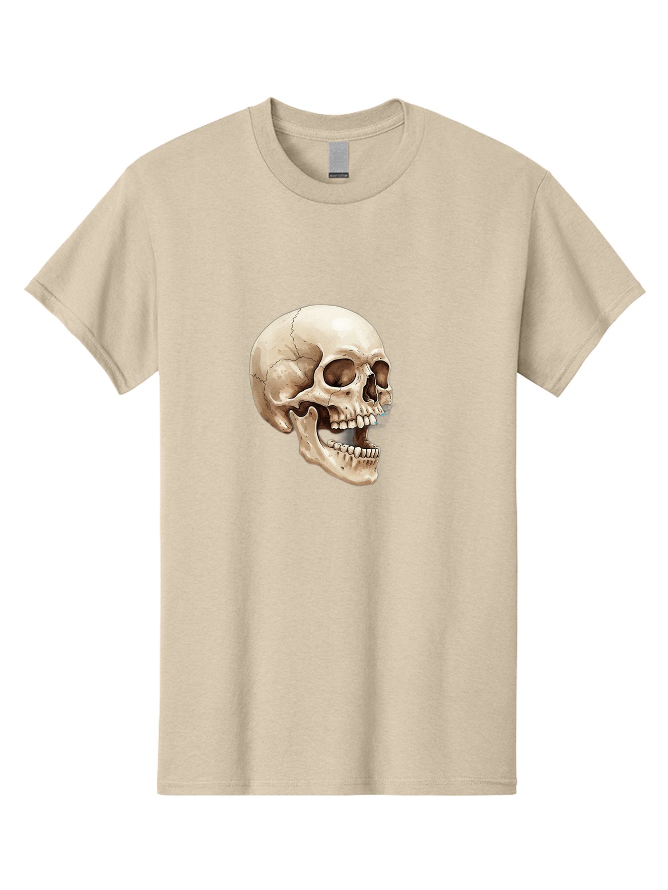 Skull Men'S Graphic Tee, 100% Cotton, Comfortable Casual Summer Wear, Machine Washable, Human Skull, Skeletal Head, Jawbone, Teeth, Anatomy, Bones, Forensic Science, Medical Illustration, Skull Structure Bad627 2