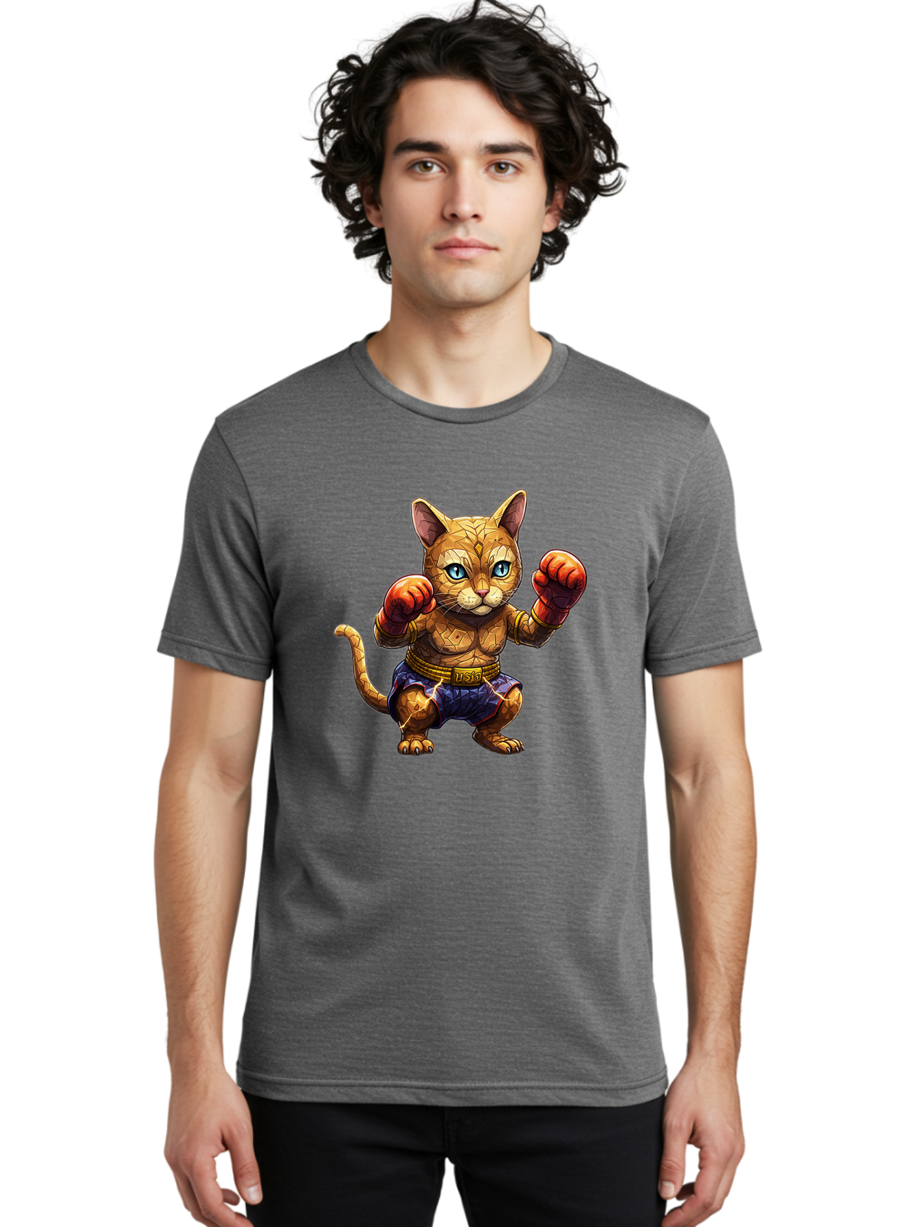 Kung-Fu-Cat-1 Men'S Graphic Tee, 100% Cotton, Comfortable Casual Summer Wear, Machine Washable, Cartoon Cat With Boxing Gloves, Muscular Cat, Fighting Stance, Blue Shorts, Gold Belt, Tiger-Like, Orange Fur, Intense Stare, Athletic Build, Bae481 21