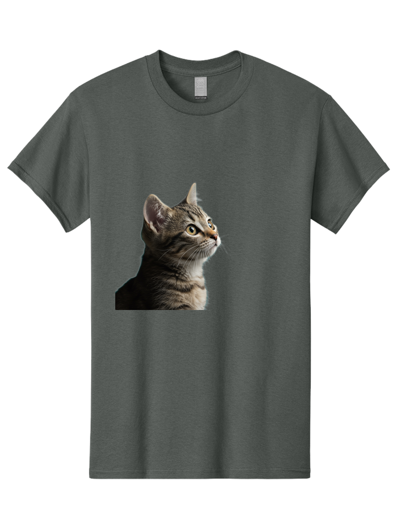 Cat-Looking-Up Men'S Graphic Tee, 100% Cotton, Comfortable Casual Summer Wear, Machine Washable, Vintage Camera, Old Camera, Antique Camera, Black Camera, Classic Photography, Photography Equipment, Nostalgic Device, Film Camera, Camera Art Bai633 11