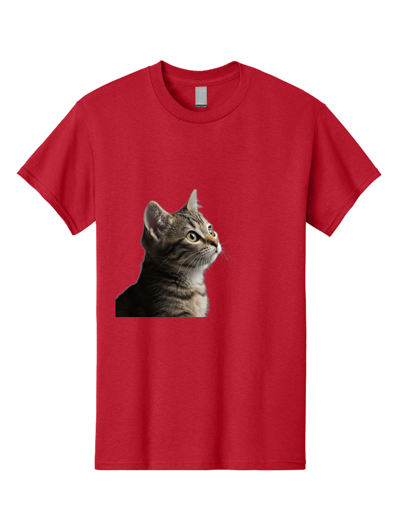Cat-Looking-Up Men'S Graphic Tee, 100% Cotton, Comfortable Casual Summer Wear, Machine Washable, Vintage Camera, Old Camera, Antique Camera, Black Camera, Classic Photography, Photography Equipment, Nostalgic Device, Film Camera, Camera Art Bai633 8