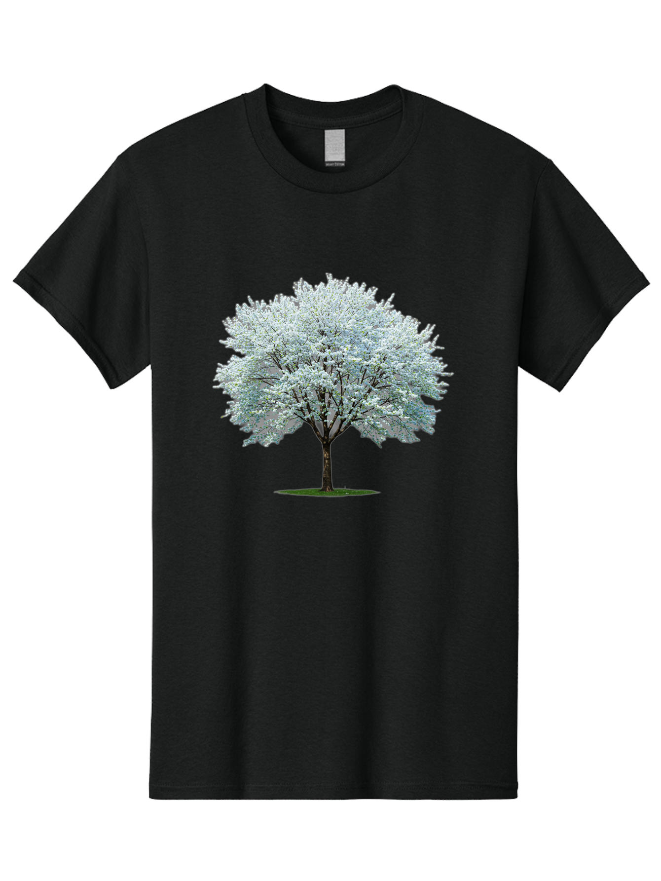 Flowering-Tree-1 Men'S Graphic Tee, 100% Cotton, Comfortable Casual Summer Wear, Machine Washable, Vintage Camera, Old Camera, Antique Camera, Black Camera, Classic Photography, Photography Equipment, Nostalgic Device, Film Camera, Camera Art Bai894 9