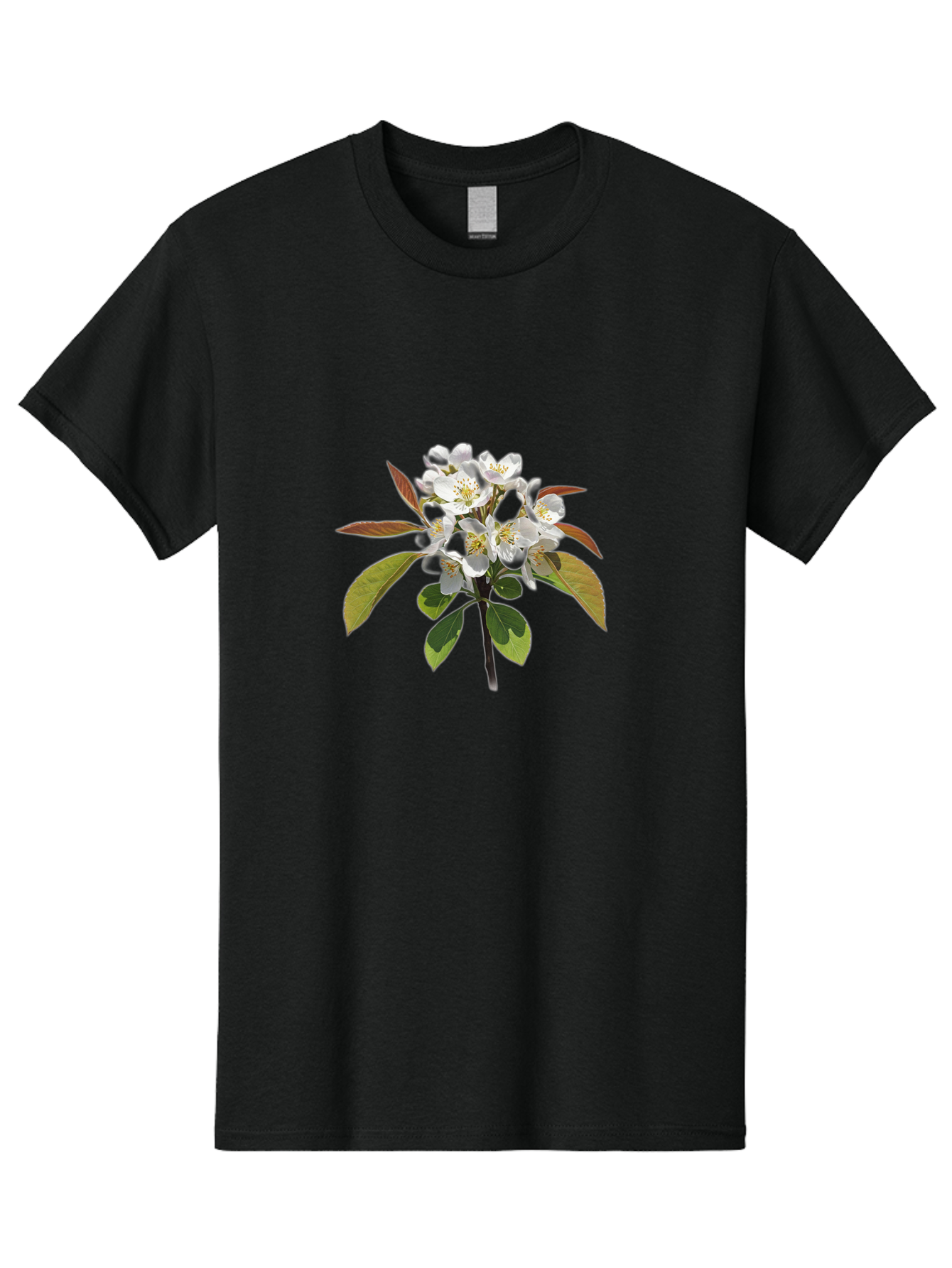 Pear-Blossom Men'S Graphic Tee, 100% Cotton, Comfortable Casual Summer Wear, Machine Washable, Vintage Camera, Old Camera, Antique Camera, Black Camera, Classic Photography, Photography Equipment, Nostalgic Device, Film Camera, Camera Art Baj157 4