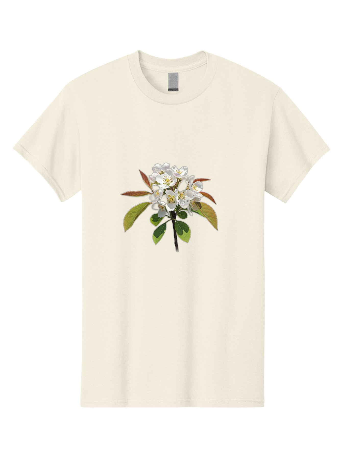Pear-Blossom Men'S Graphic Tee, 100% Cotton, Comfortable Casual Summer Wear, Machine Washable, Vintage Camera, Old Camera, Antique Camera, Black Camera, Classic Photography, Photography Equipment, Nostalgic Device, Film Camera, Camera Art Baj157 15