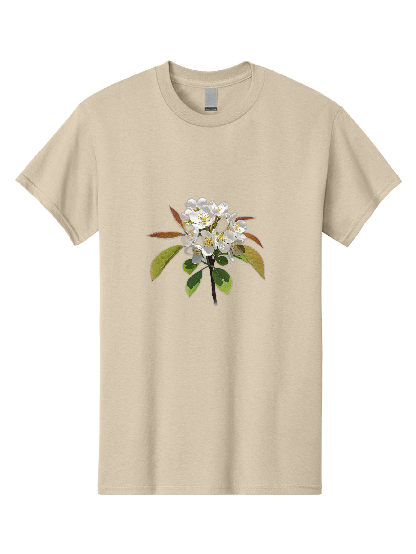 Pear-Blossom Men'S Graphic Tee, 100% Cotton, Comfortable Casual Summer Wear, Machine Washable, Vintage Camera, Old Camera, Antique Camera, Black Camera, Classic Photography, Photography Equipment, Nostalgic Device, Film Camera, Camera Art Baj157 2