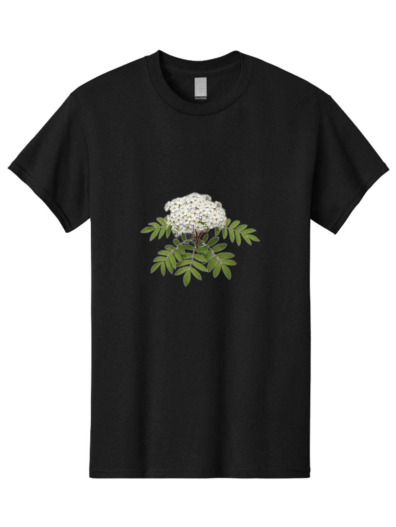 Rowan-Tree-Flowers Men'S Graphic Tee, 100% Cotton, Comfortable Casual Summer Wear, Machine Washable, Vintage Camera, Old Camera, Antique Camera, Black Camera, Classic Photography, Photography Equipment, Nostalgic Device, Film Camera, Baj244 5